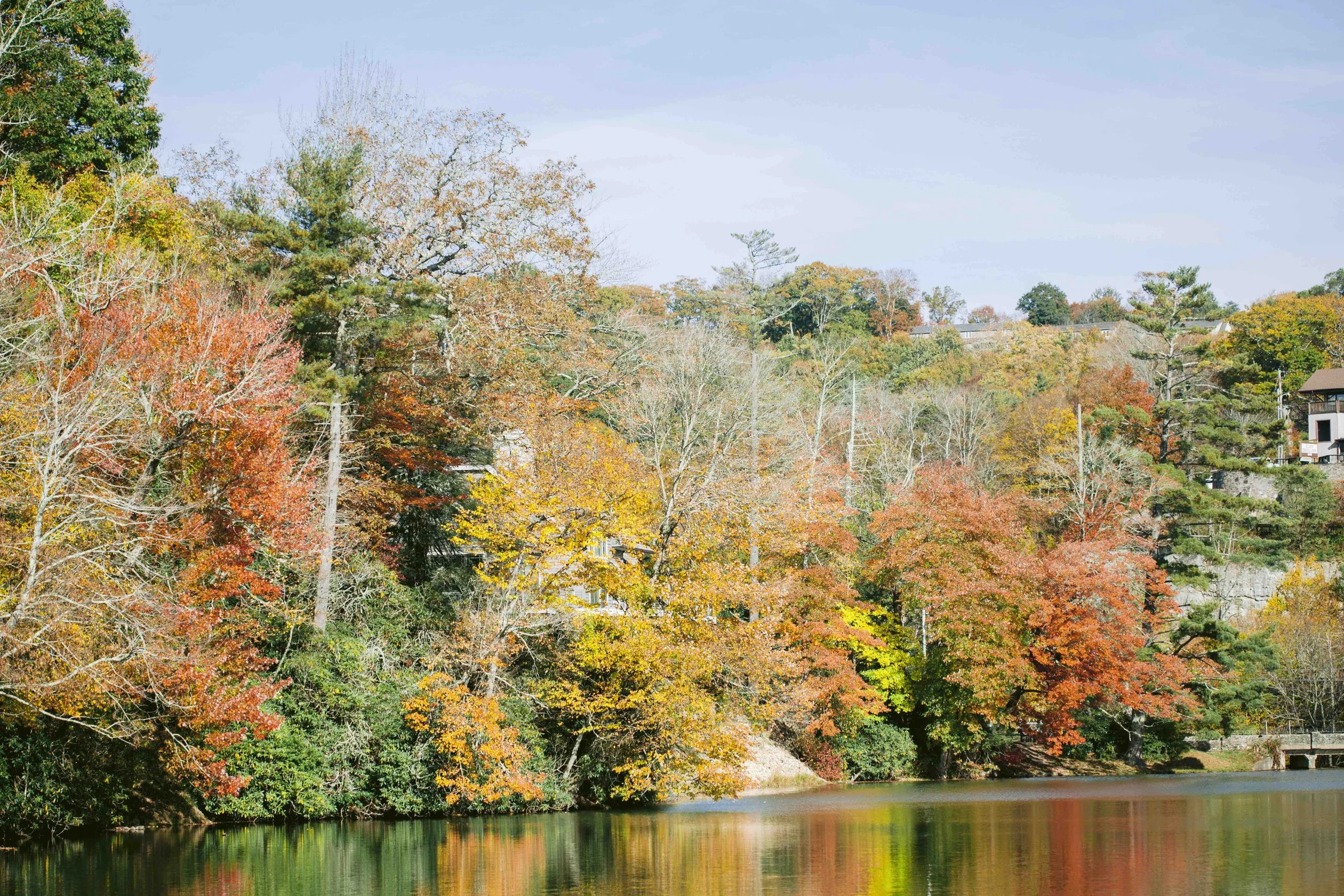 A landscape view of trees with autumn foliage reflecting in a river, with houses and power lines in the background under a clear blue sky.