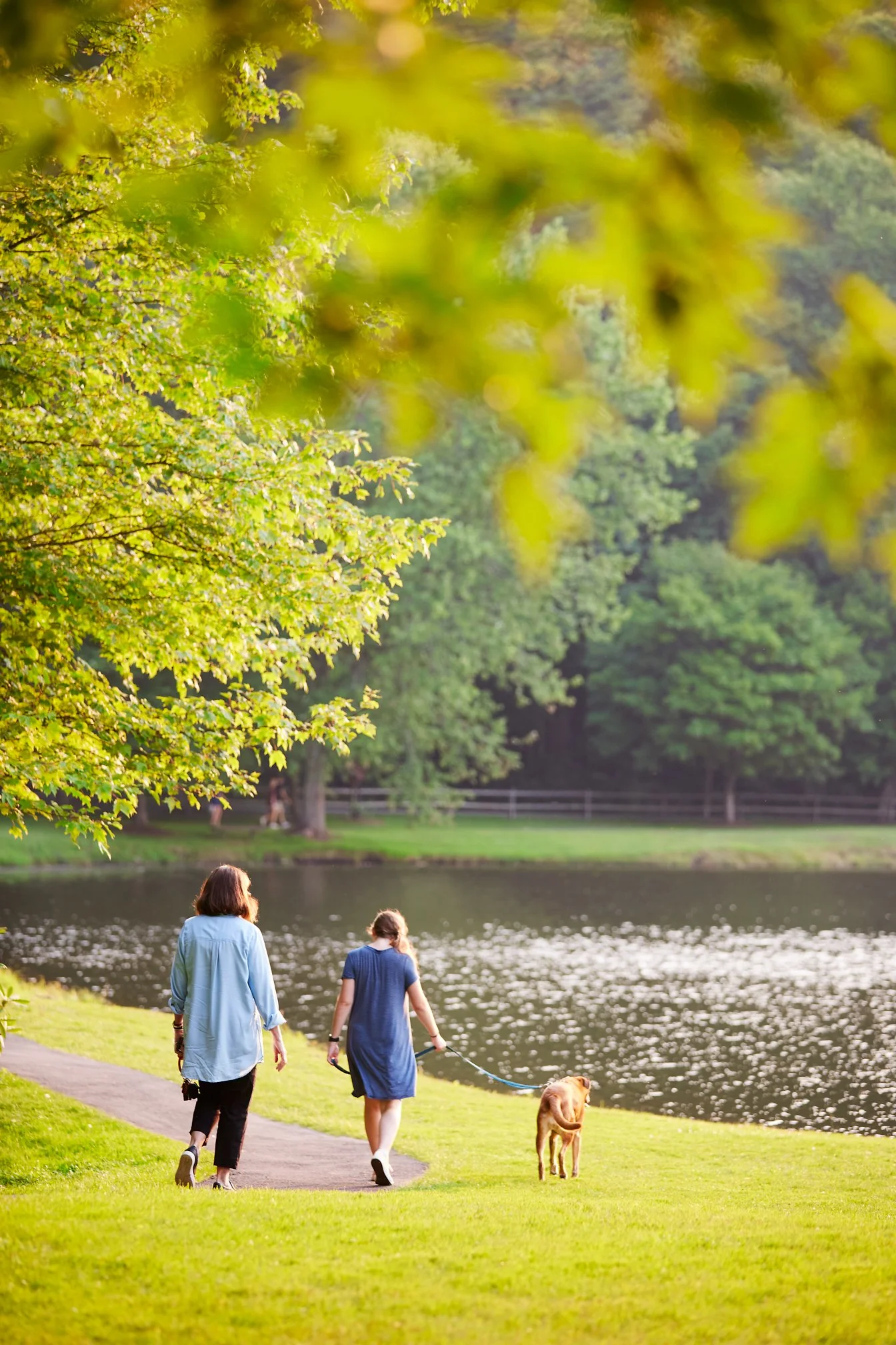 Two women and a dog walking along a lakeside path in a park with green trees and water.