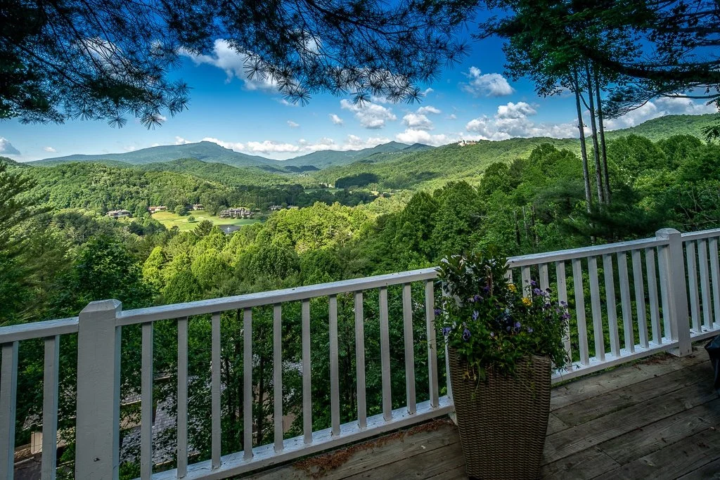 View of lush green mountains and trees under a partly cloudy sky, seen from a wooden balcony with a white railing and a potted flowering plant.