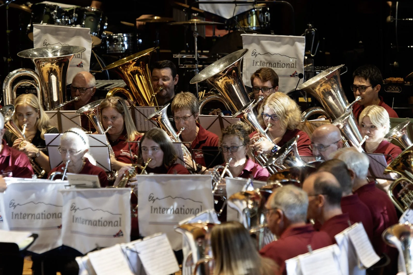 A diverse group of musicians in an orchestra playing brass instruments, including euphoniums and tubas, during a performance.