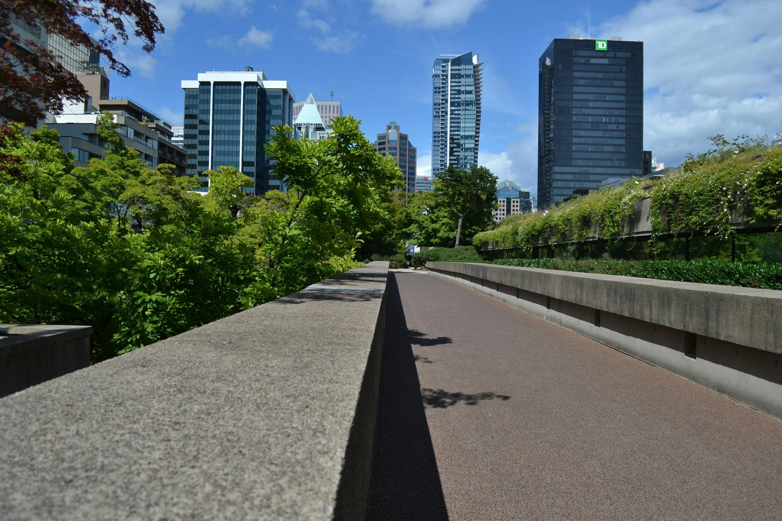 Corporate Governance in the Age of Climate Risk: The Rise of ESG Disclosure in Canada