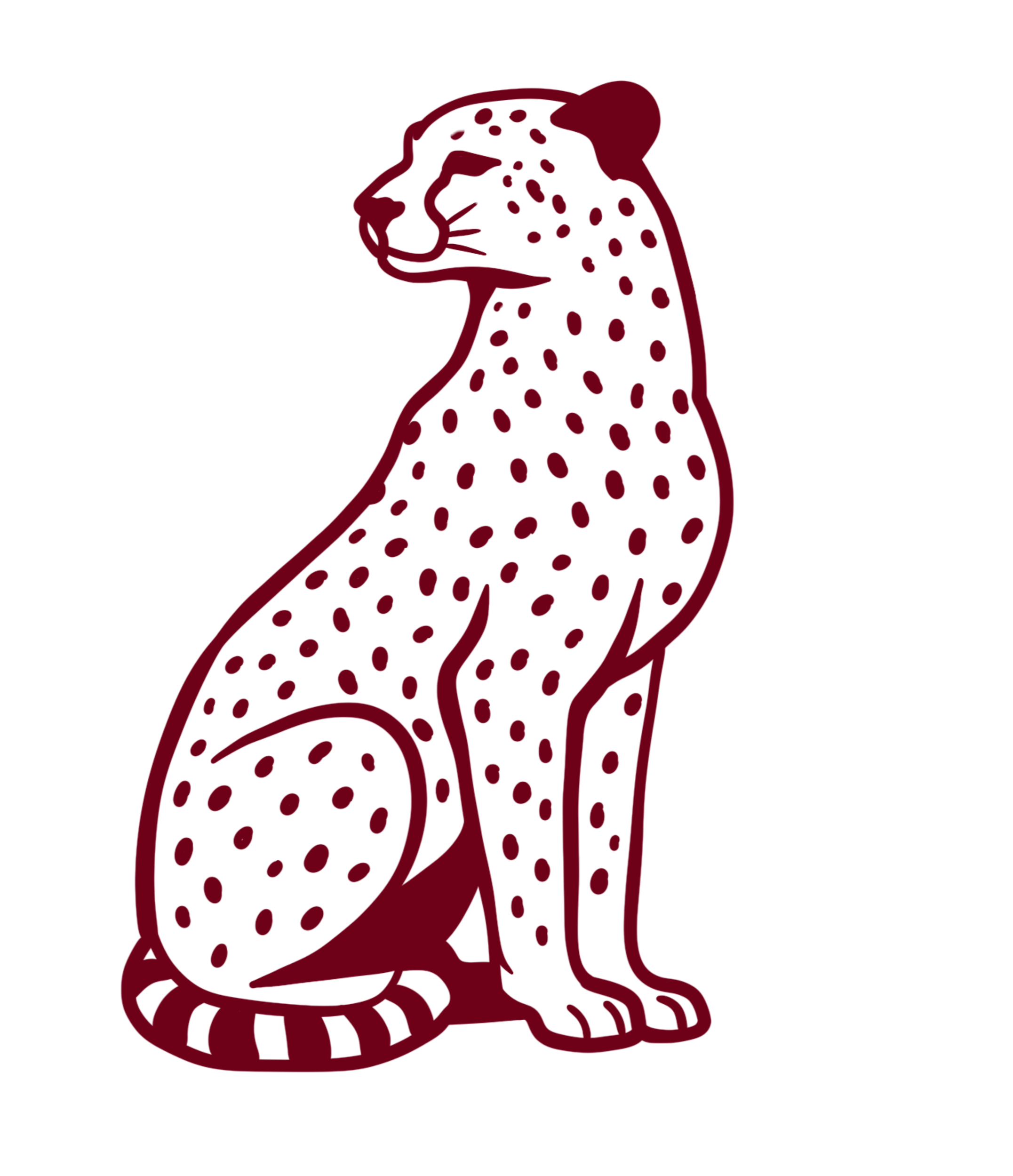 Outline drawing of a seated leopard with detailed spots on its body, facing left.