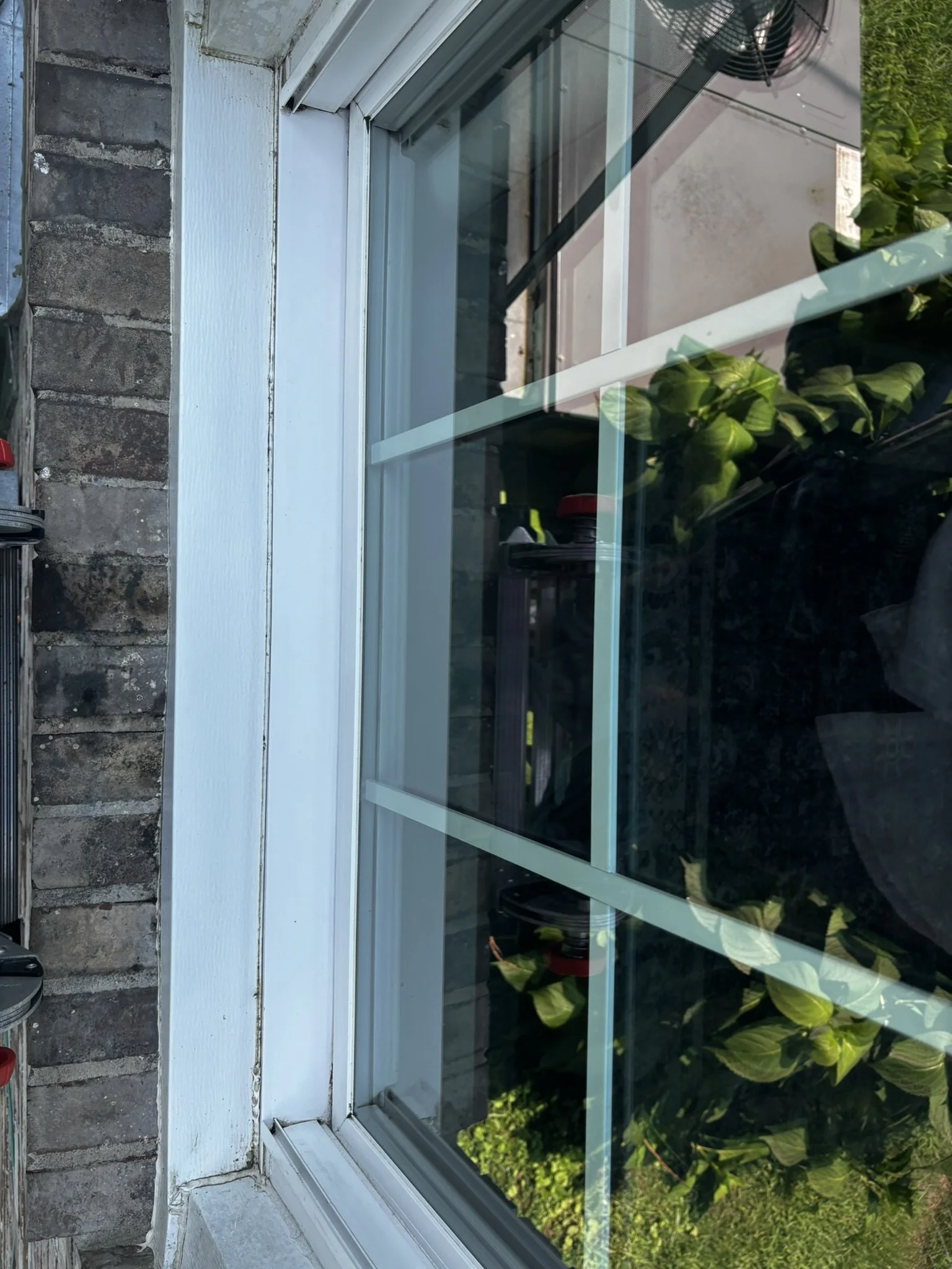 A window with white trim and black screen, reflecting a garden with green plants and a stone patio, showing a cloudy sky.