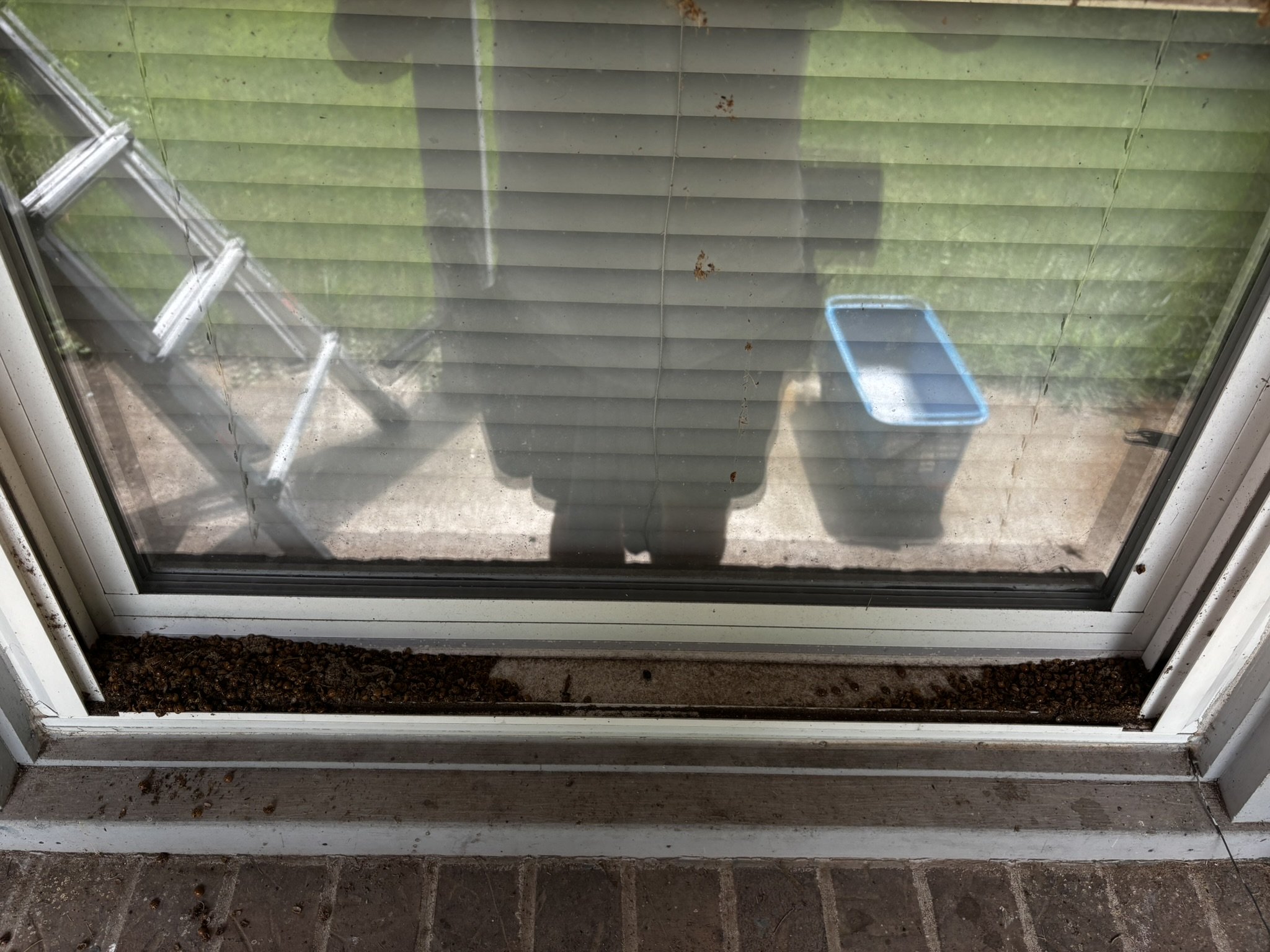 View from inside a house looking out through a glass door. Outside, there is a small porch with soil at the base, and a green lawn with a white and blue object that appears to be a stool or small table. The door has horizontal blinds and some dirt an