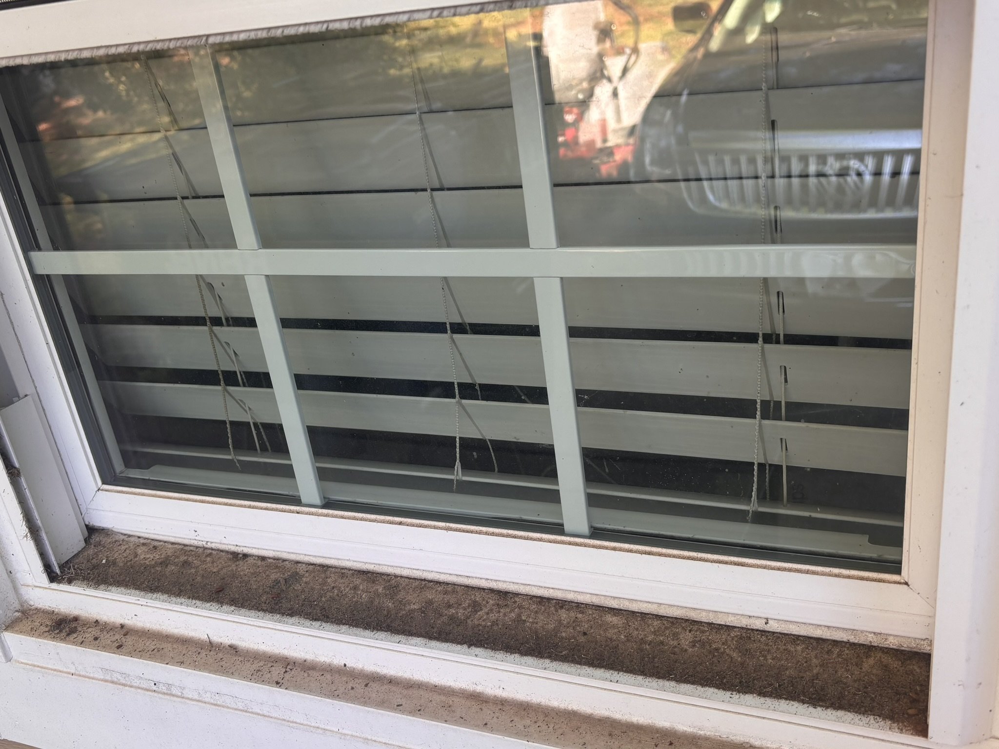 A view of a window with white frame, showing a reflection of the outdoor scene including trees and a red object. The window has a metal grid with horizontal and vertical bars, and the bottom frame is dirty and stained.