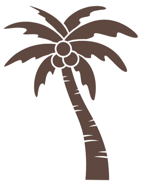 Illustration of a brown palm tree with coconuts on a black background.