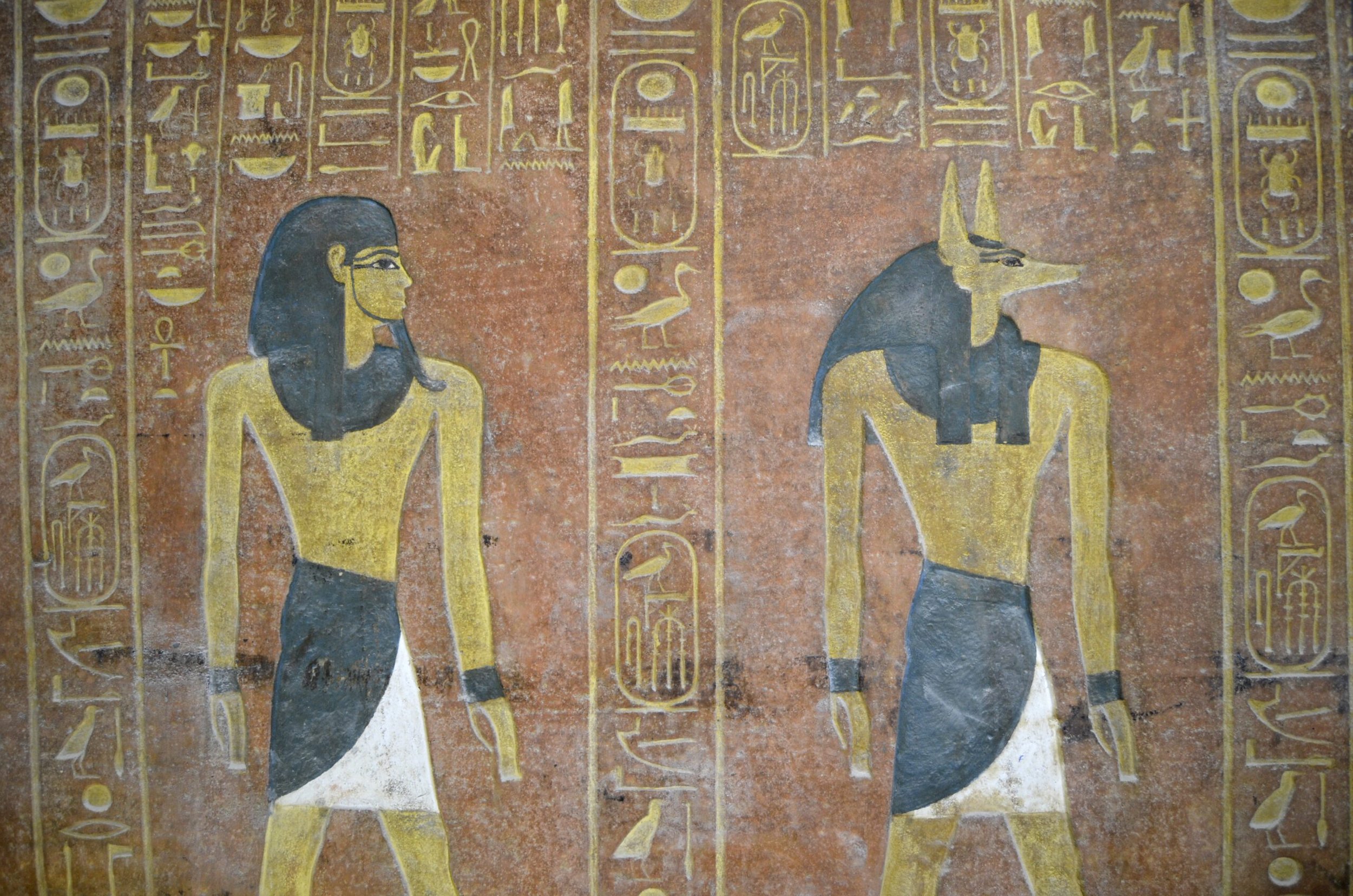 Banner-Option-2-scaled.jpg