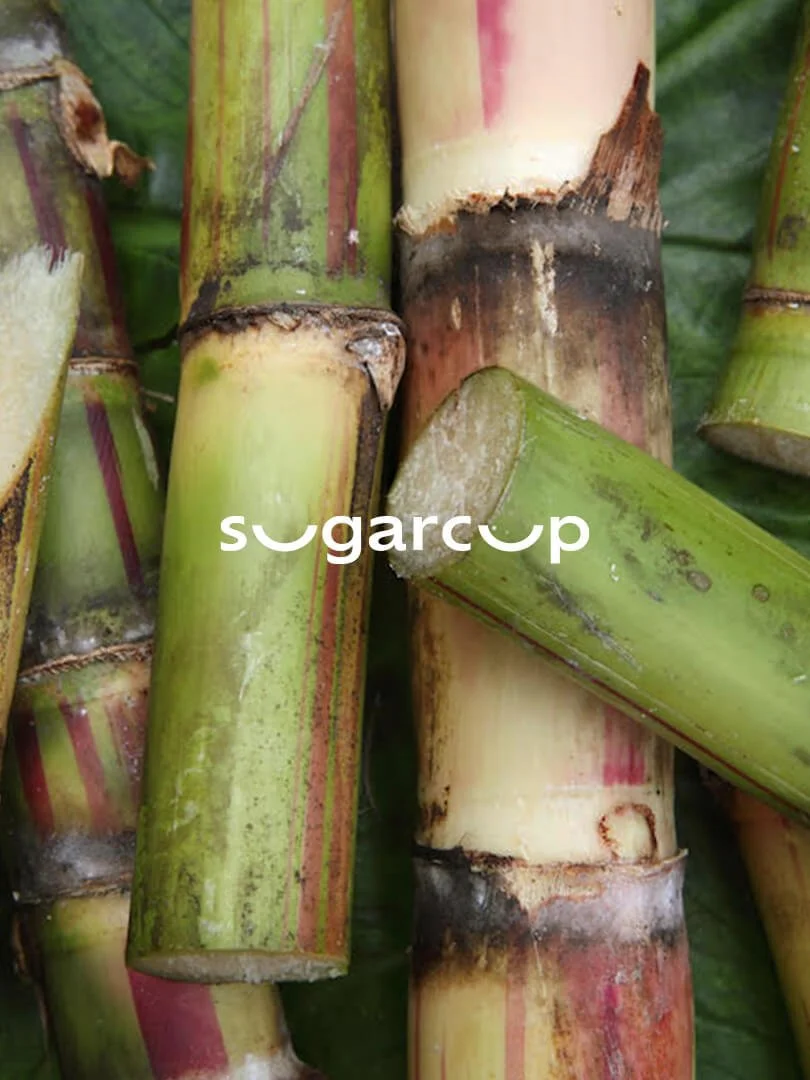 Sugarcup™
