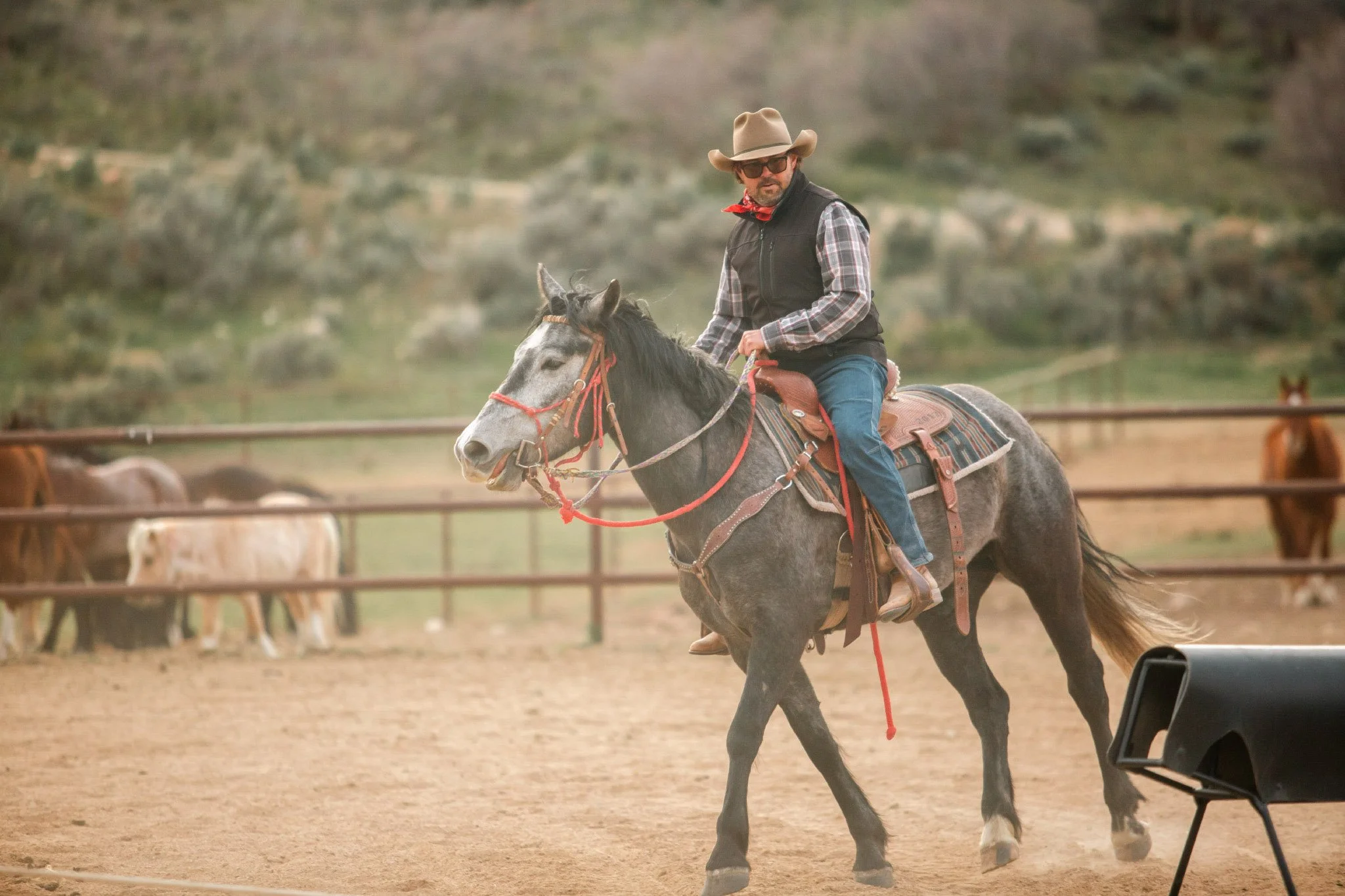 A man wearing a cowboy hat, sunglasses, and a vest riding a gray horse in an outdoor arena with other horses grazing during a cowboy camp.