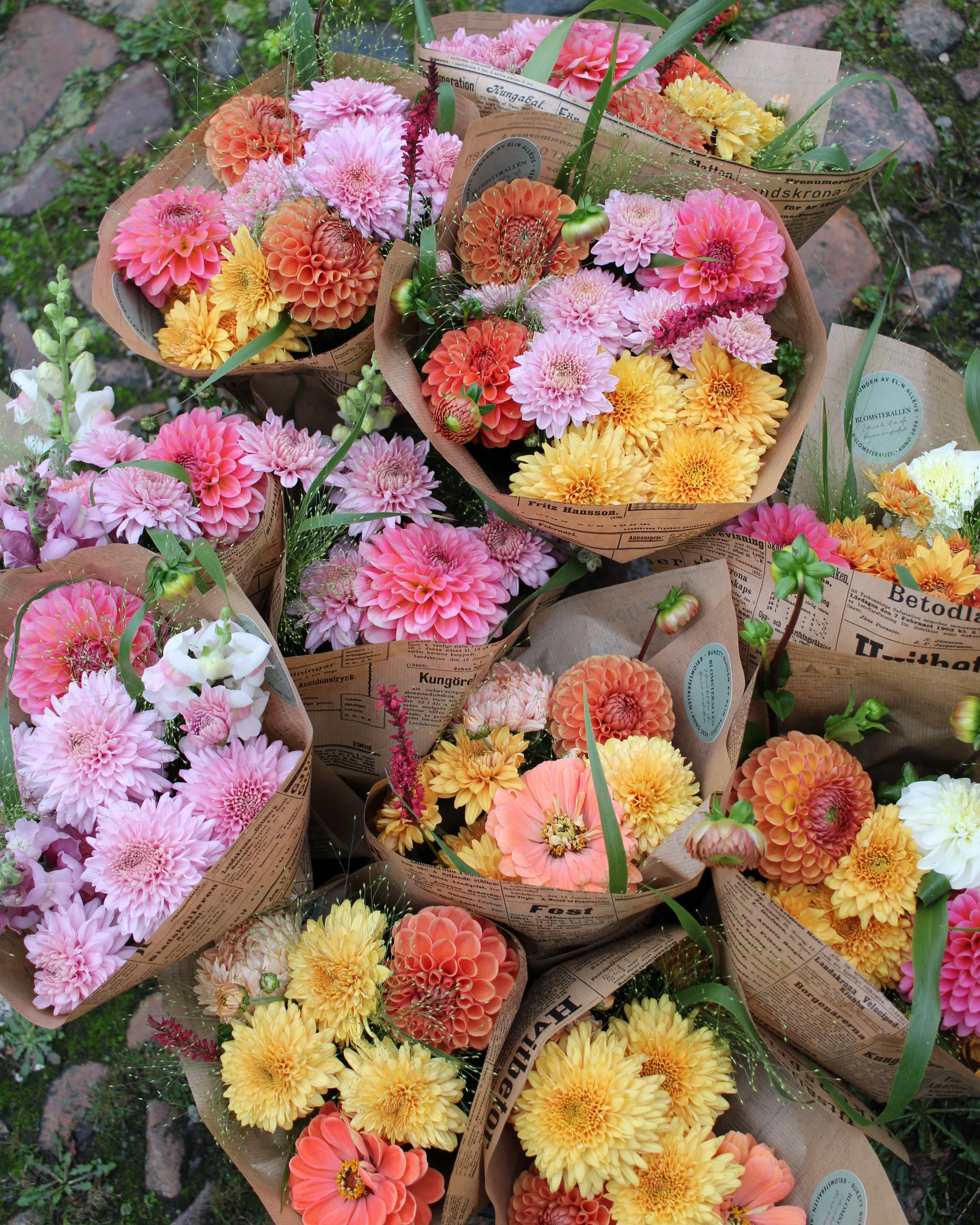 Lika men &auml;nd&aring; olika! Varje helg kommer ett g&auml;ng nya svenskodlade buketter till Tirup 💐 Varje vecka blir det n&aring;got nytt som dyker upp i odlingen! 😍