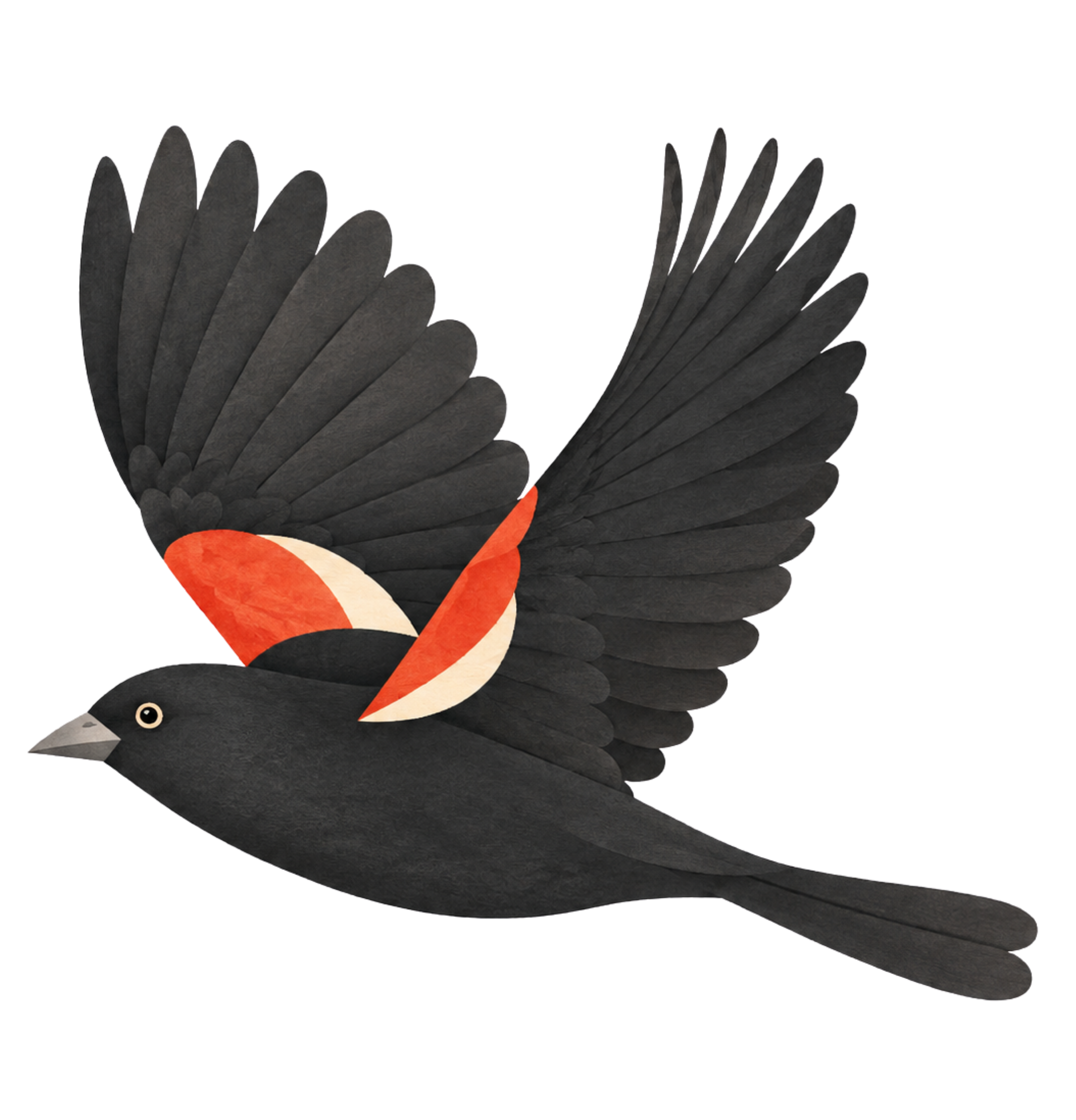 Illustrated blackbird in side profile flying with both wings raised.