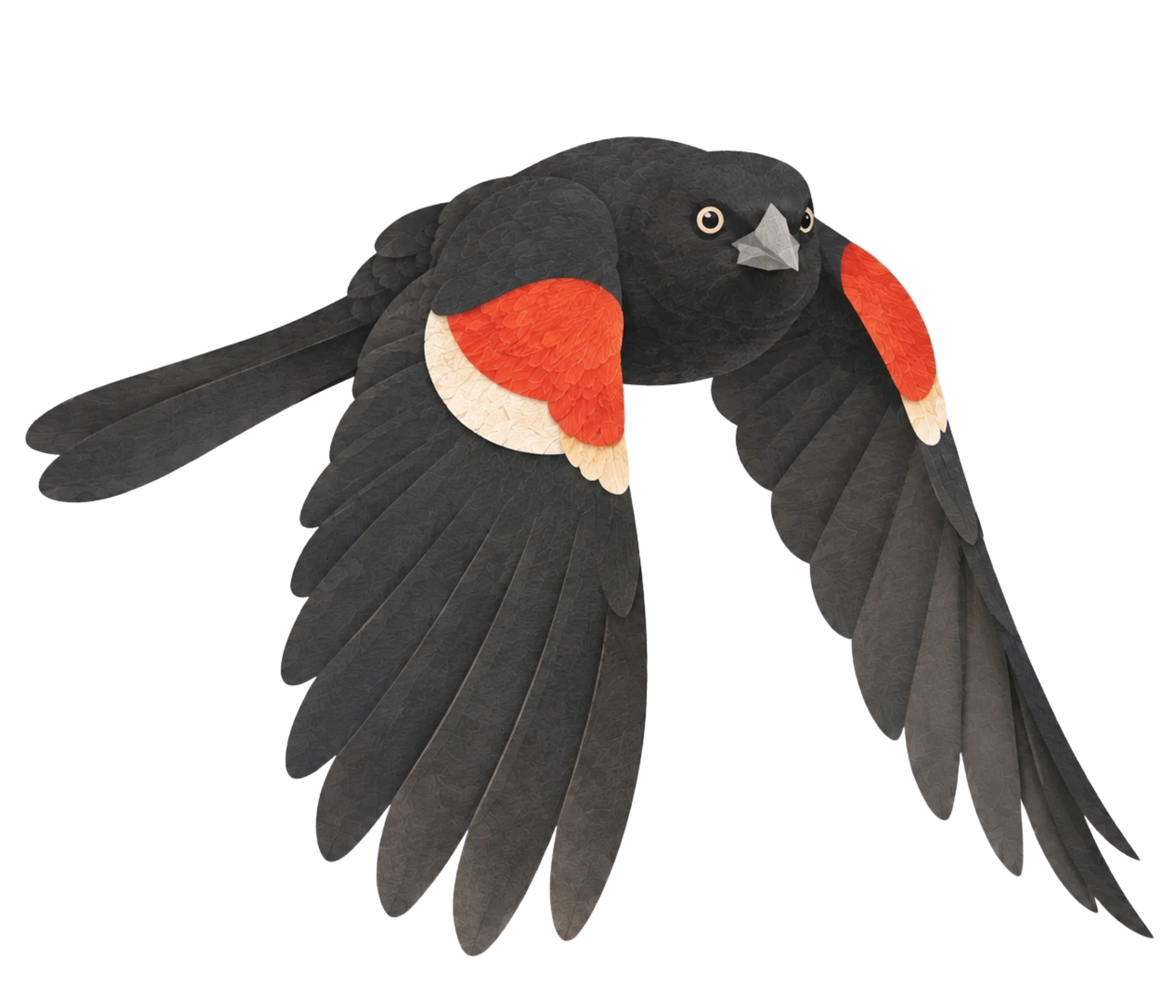 Illustrated blackbird flying forward with both wings extended downward.