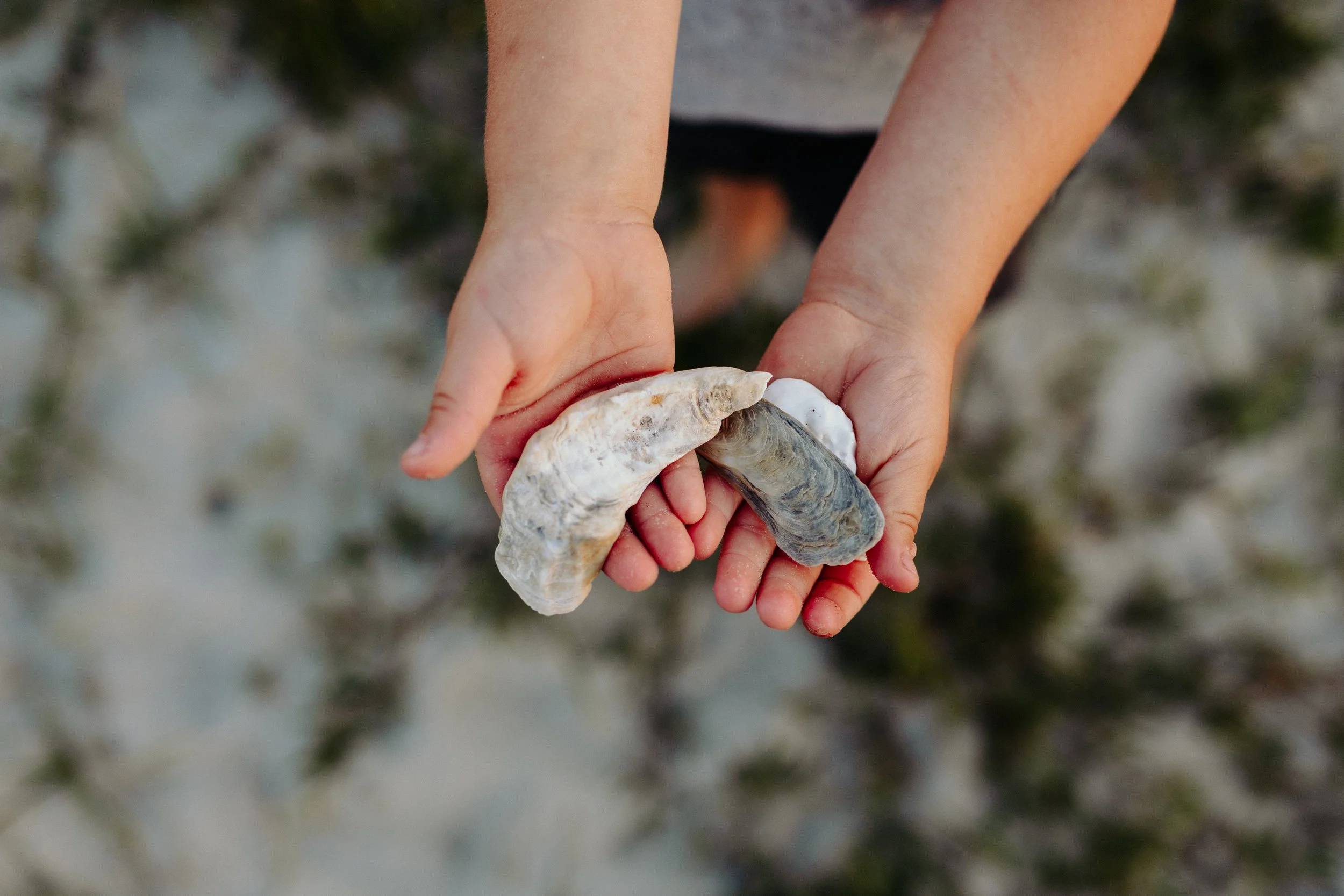 CharlestonFamilyPortraits-16.jpg