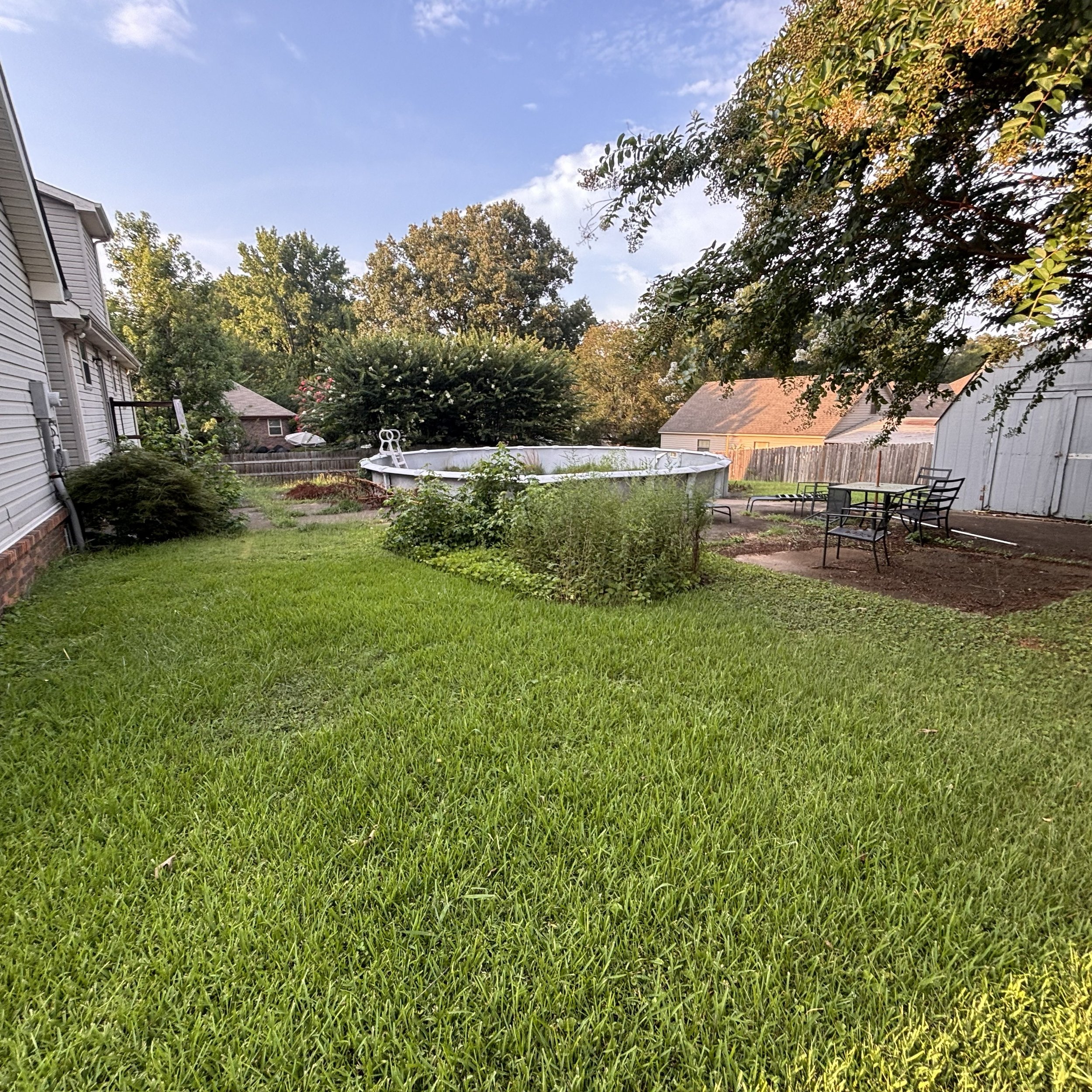 Back Yard Mow and Weedeat