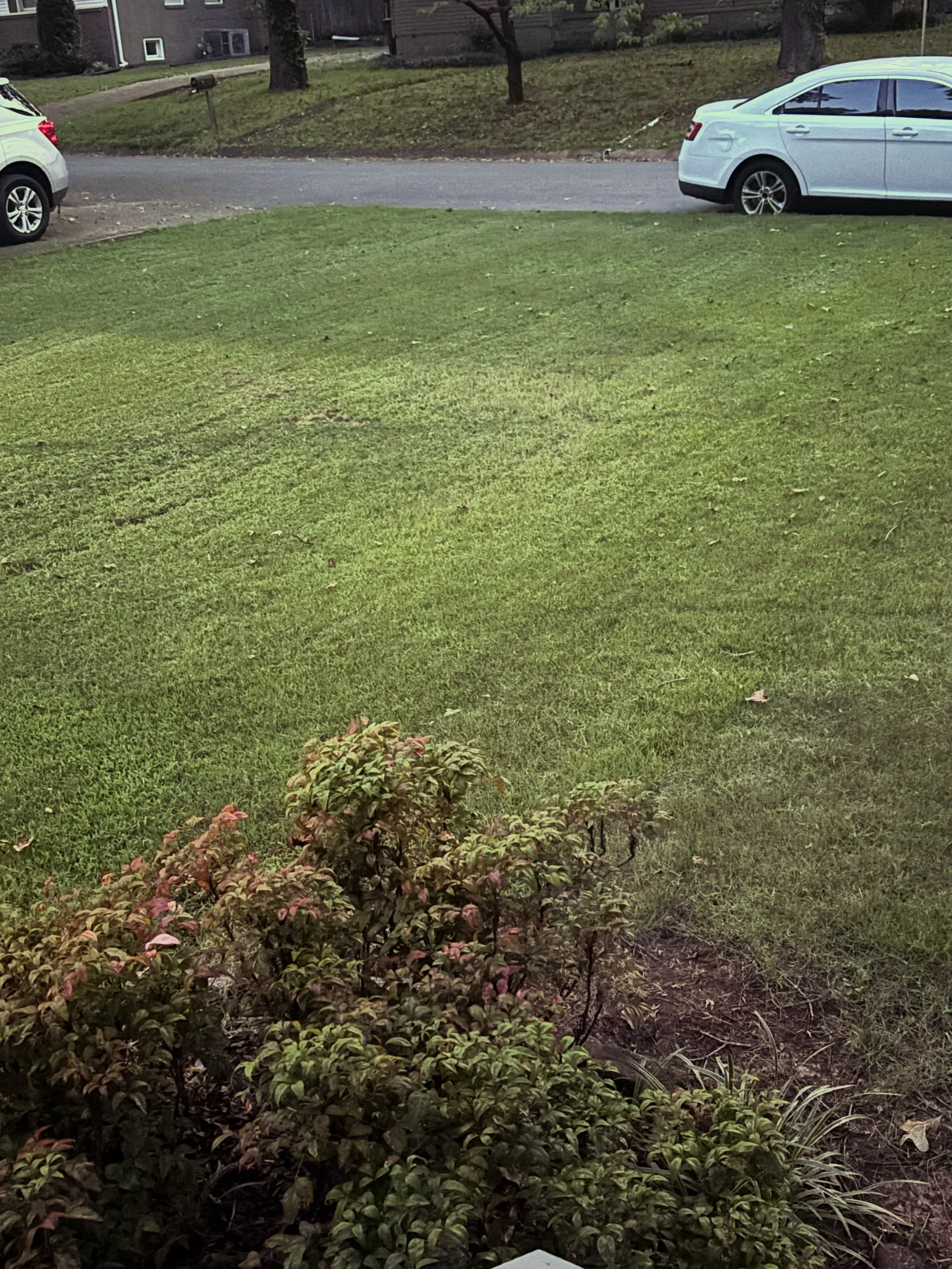 #lawn #mow #yard