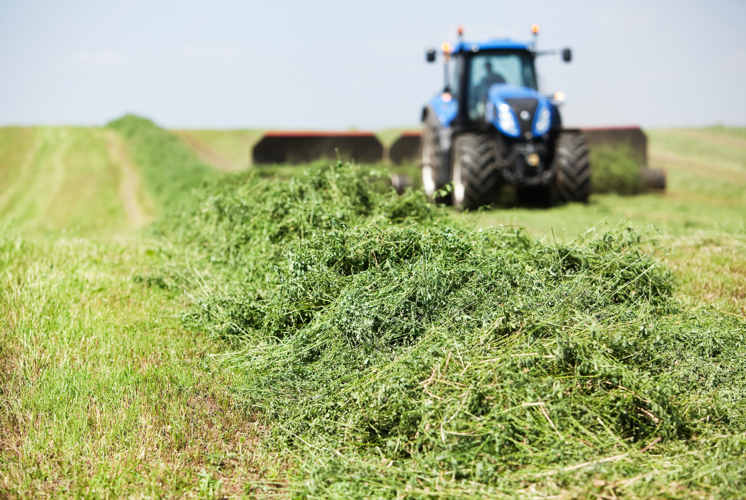 A blue tractor in a field during daytime, with hay being baled or collected.