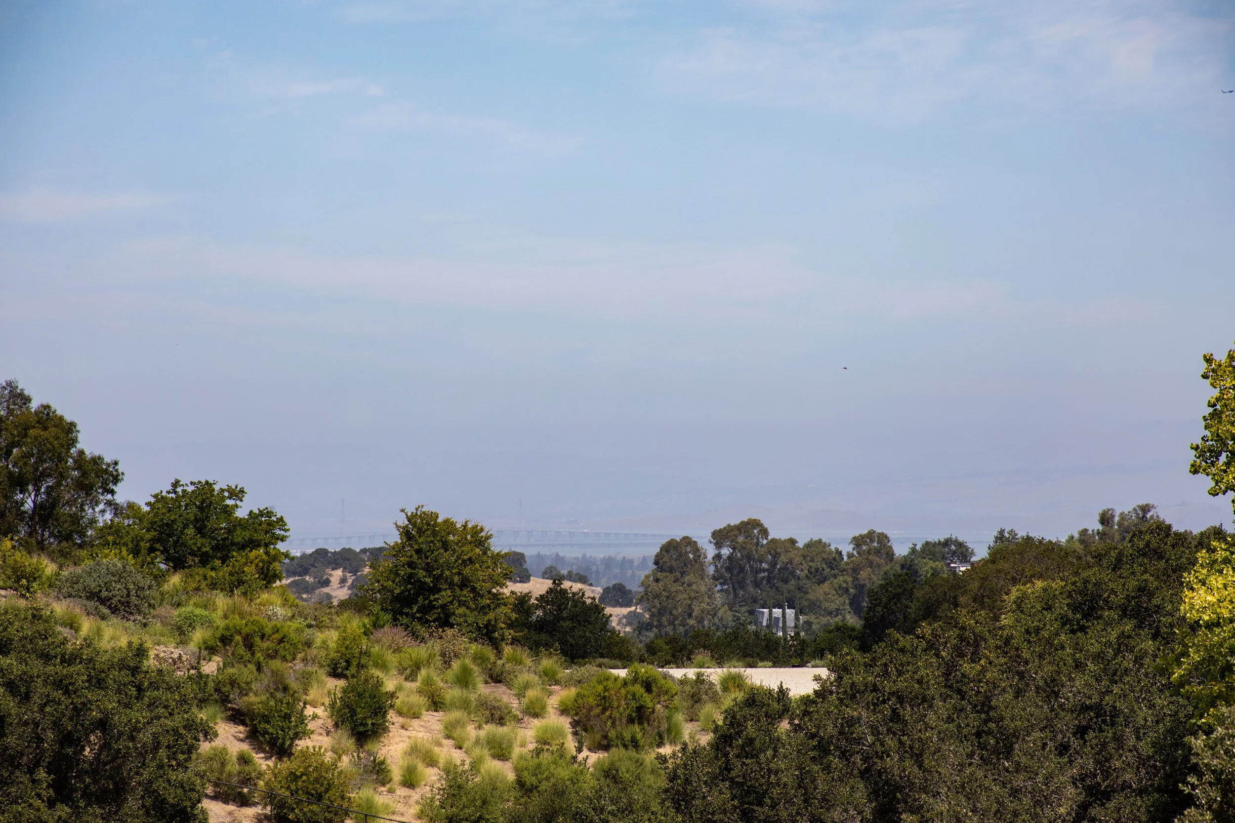 6-Byrd_Matt_Anello-4842-MLS.jpg