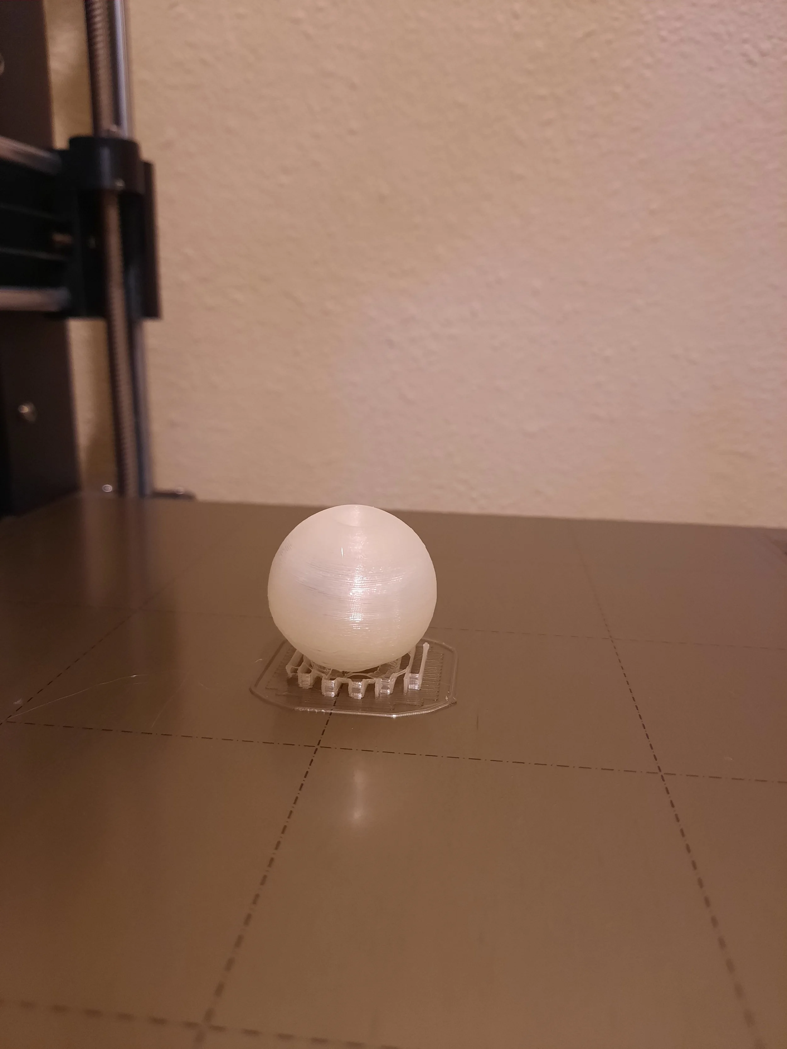 20210719_003118.jpg