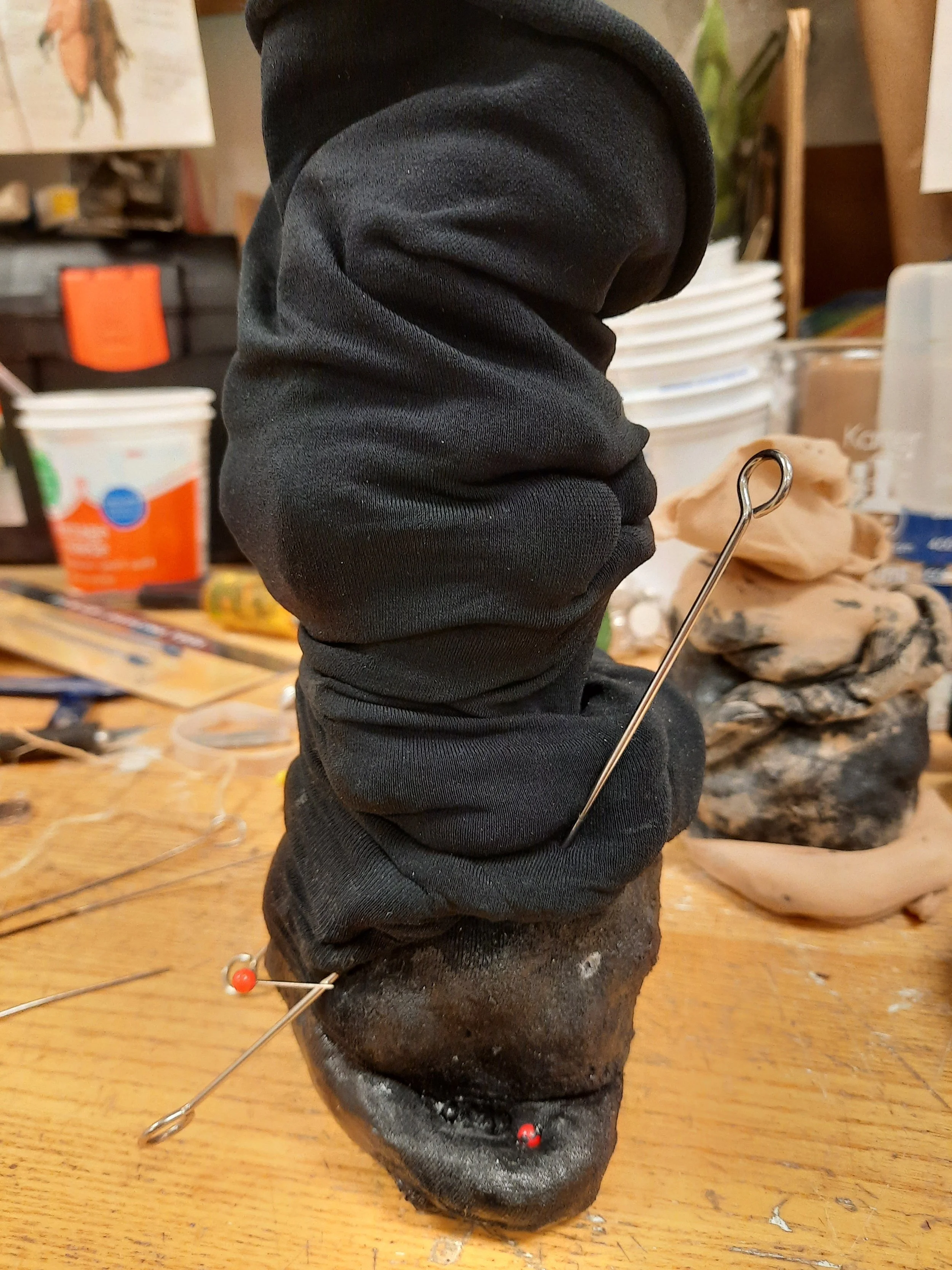 20220124_202104.jpg