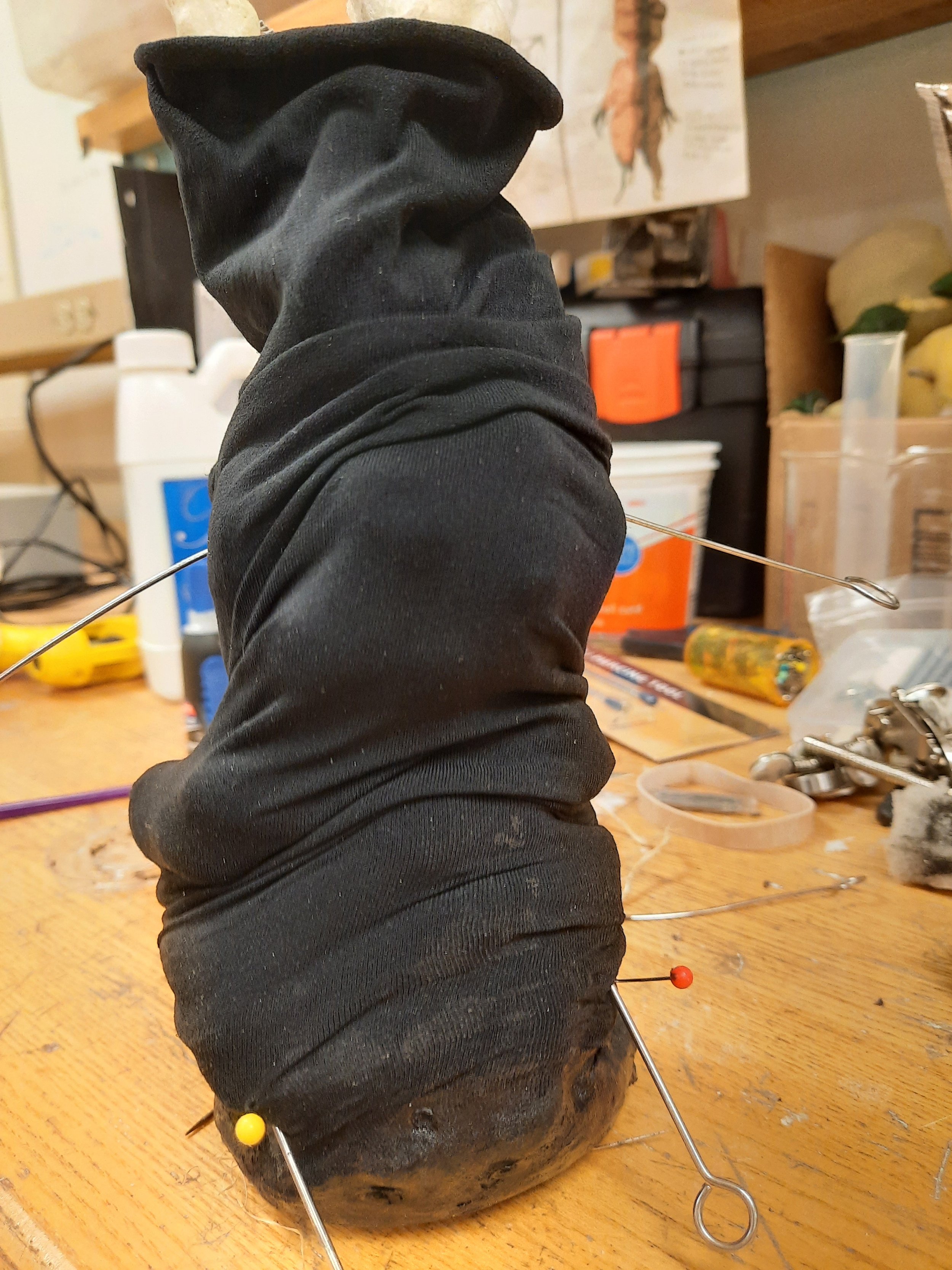 20220124_202809.jpg