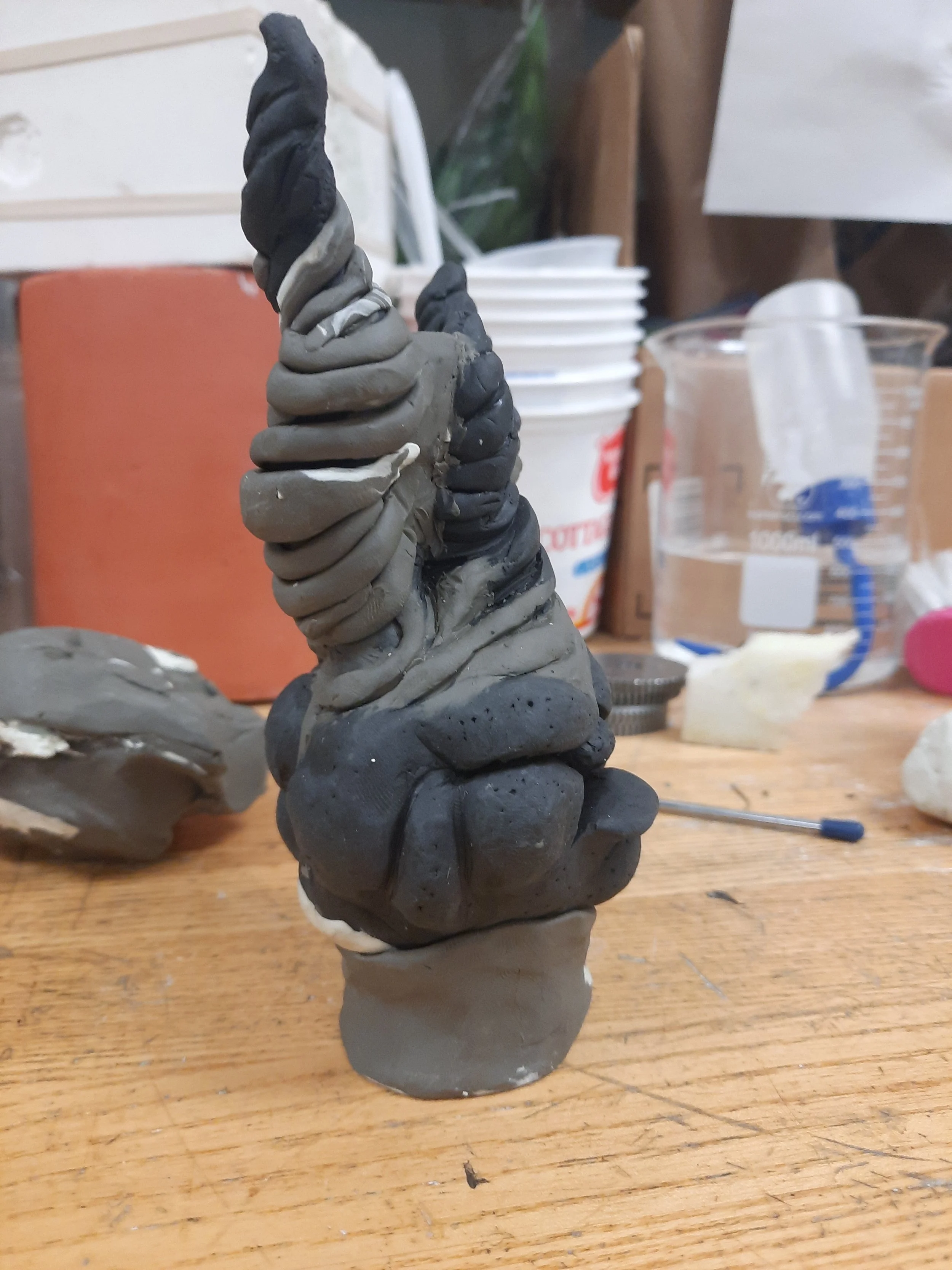 20220127_132803.jpg