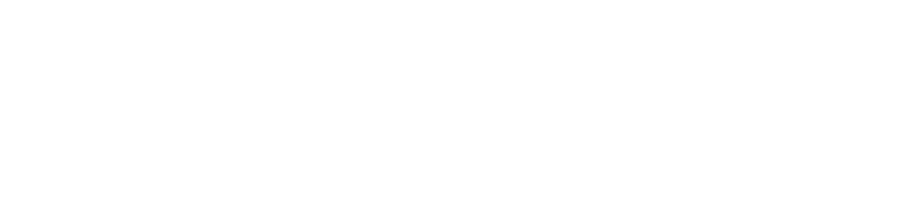NAEA-Logo-transparent-MarketingAsset.png
