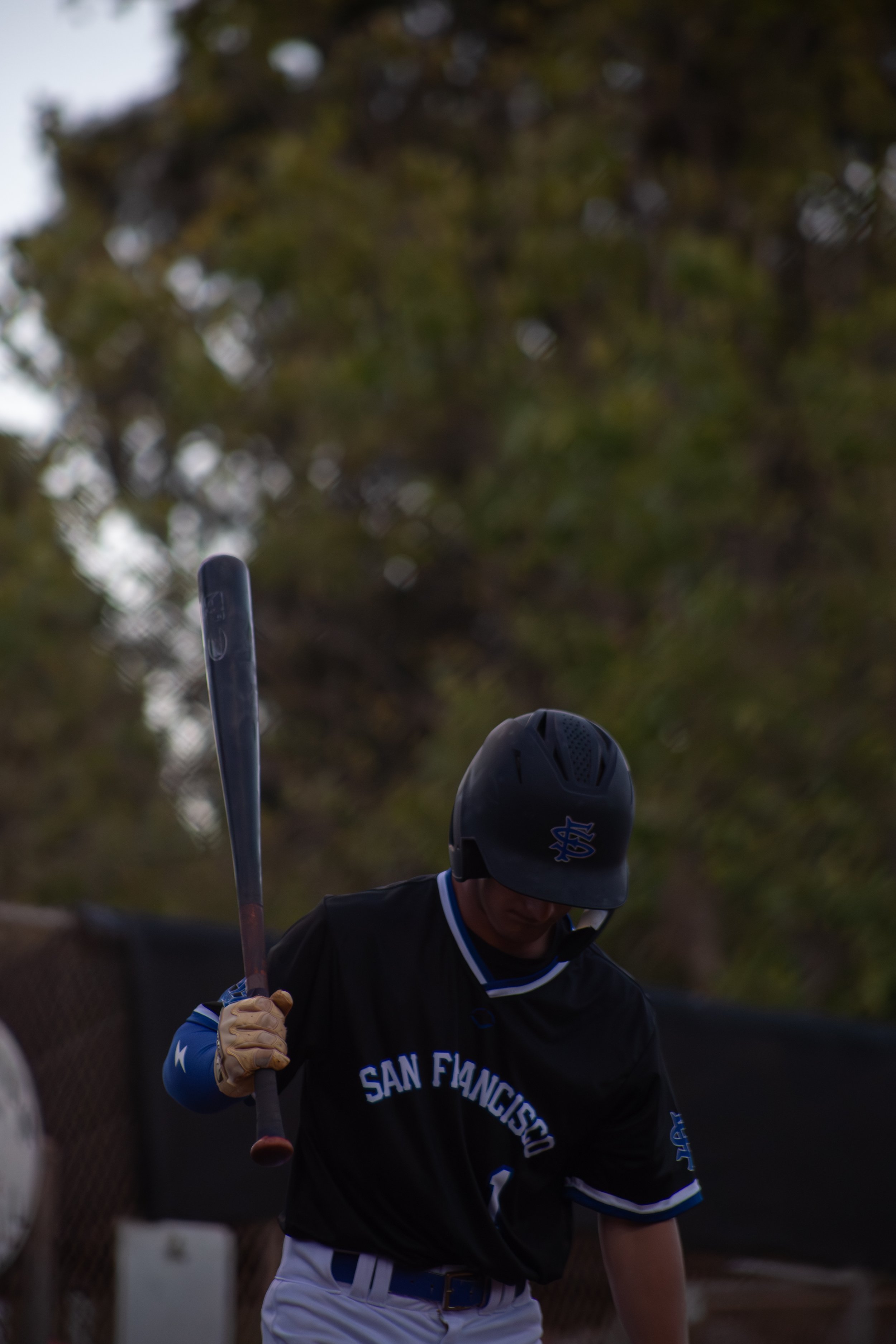 Baseball player in black uniform with blue accents and a black helmet, holding a baseball bat, outdoors with trees in the background.