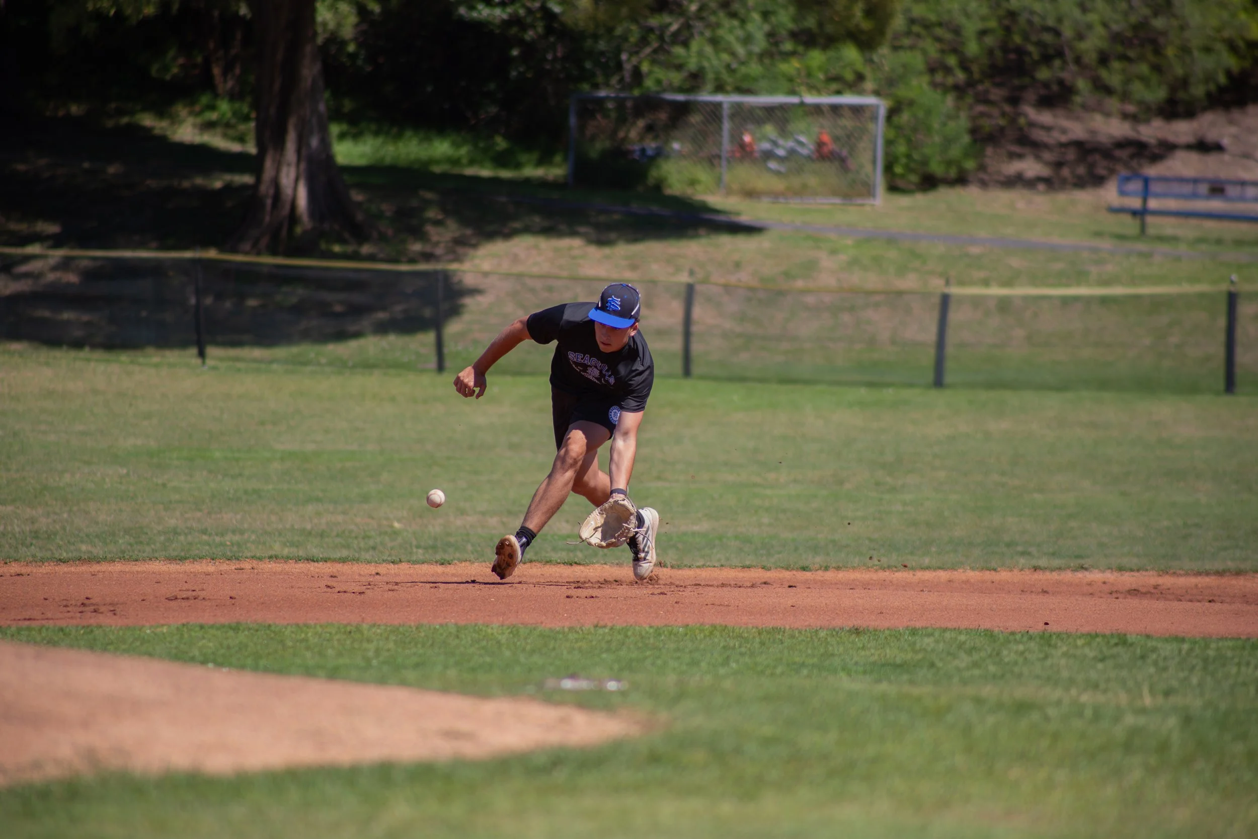 A person wearing a black t-shirt, shorts, and a baseball cap is playing baseball on a grassy field, fielding a ground ball with a glove.