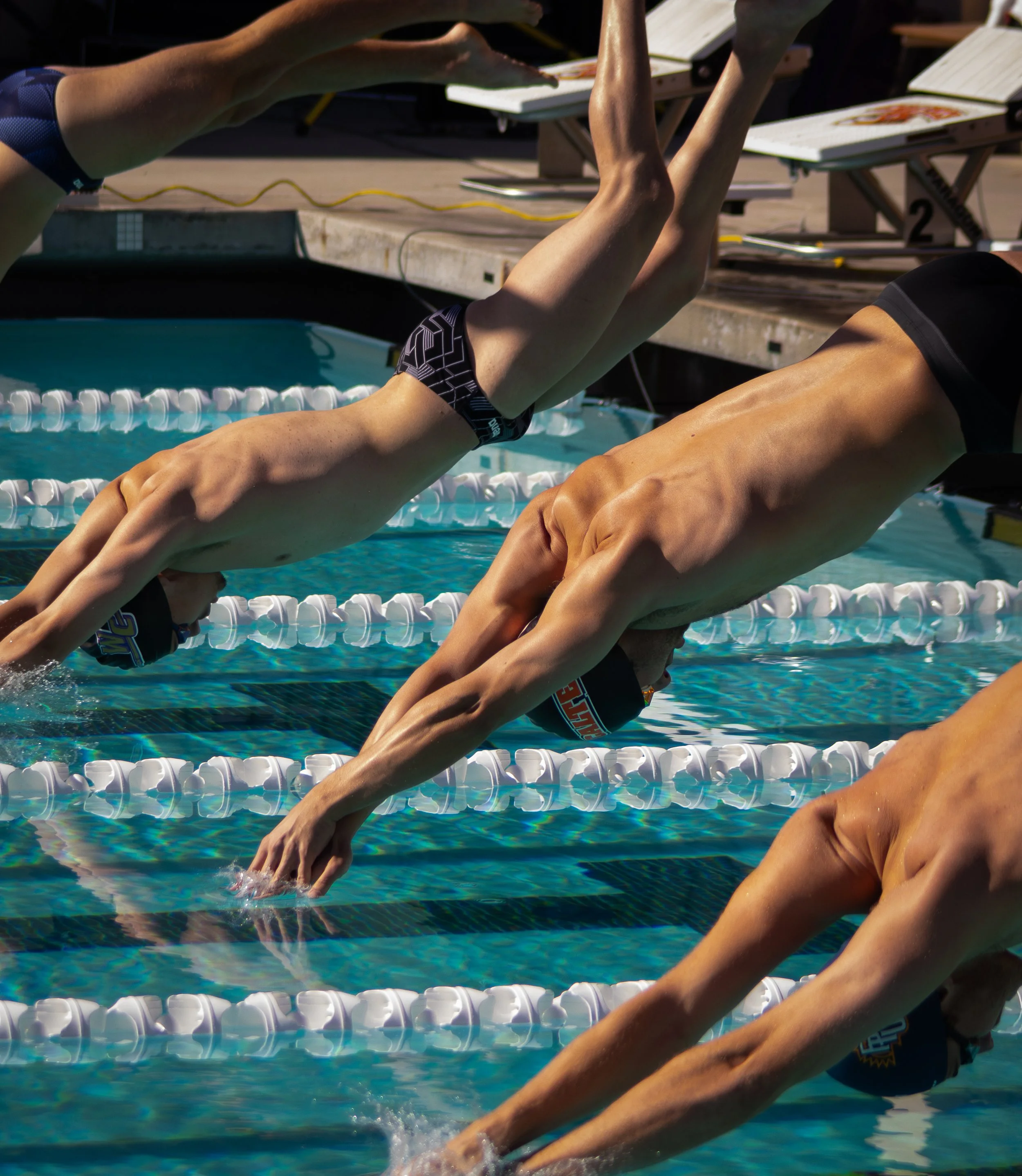 Swimmers diving into a pool during a race, with their arms extended forward and heads submerged, against a backdrop of pool lane dividers and starting blocks.