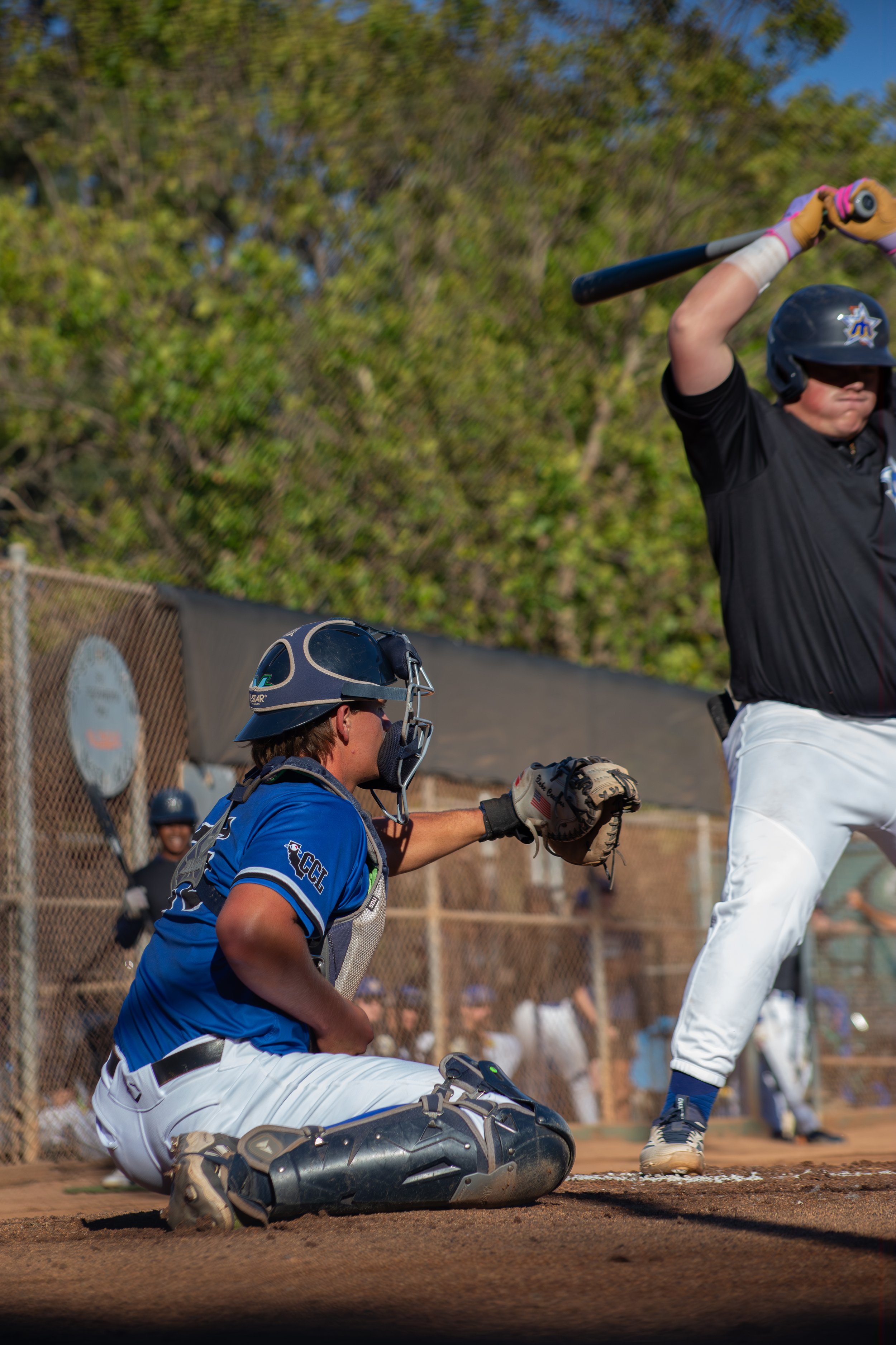 A baseball player slides into home plate as the catcher reaches out to tag him during a game on a sunny day. The player is wearing a black jersey with white pants, and the catcher is in a blue jersey and catcher's gear. The background shows a chain-l