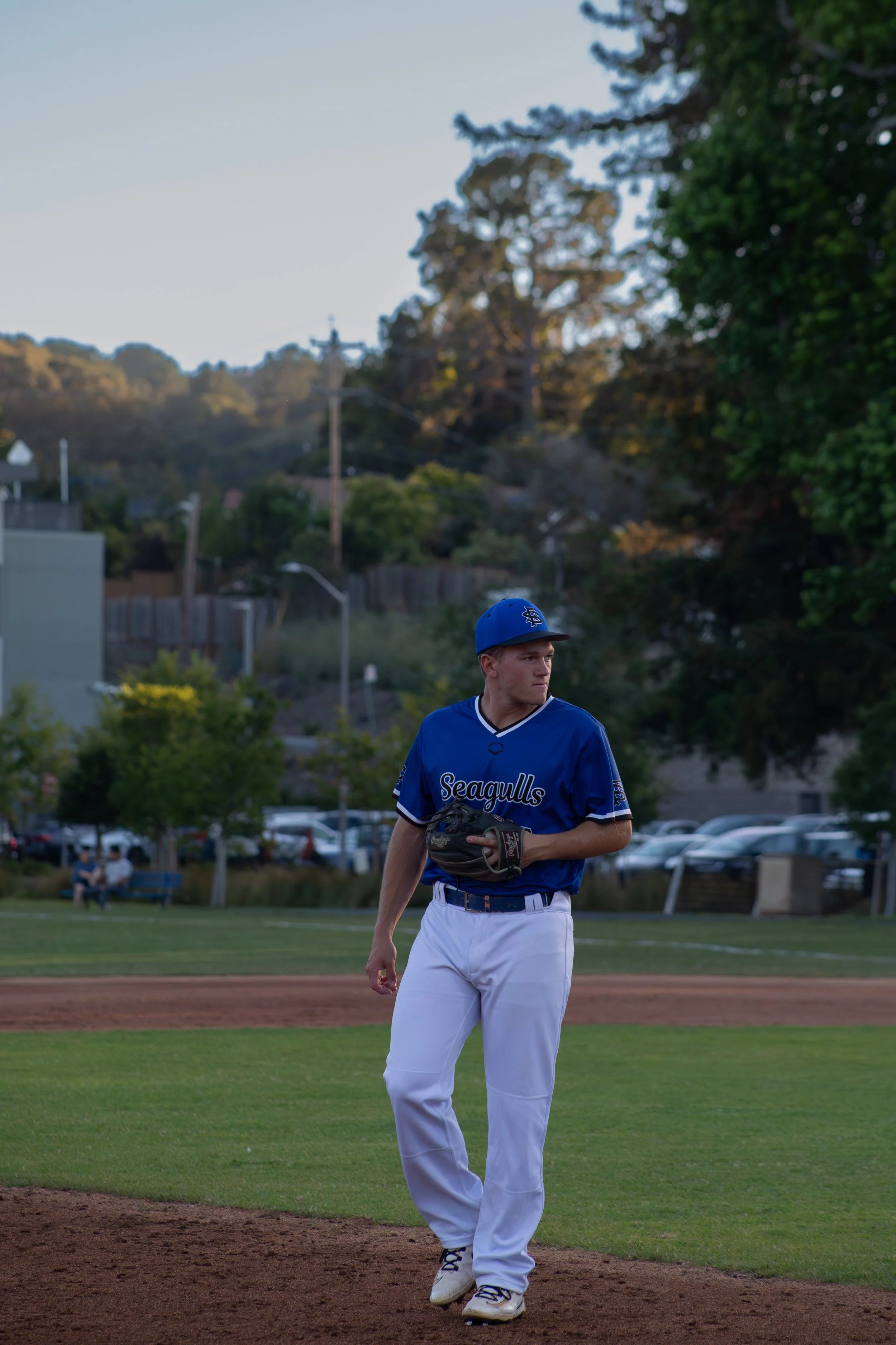 A young baseball player in a blue jersey labeled 'Seagulls' and white pants stands on the pitcher's mound holding a baseball glove, with a baseball field and trees in the background.