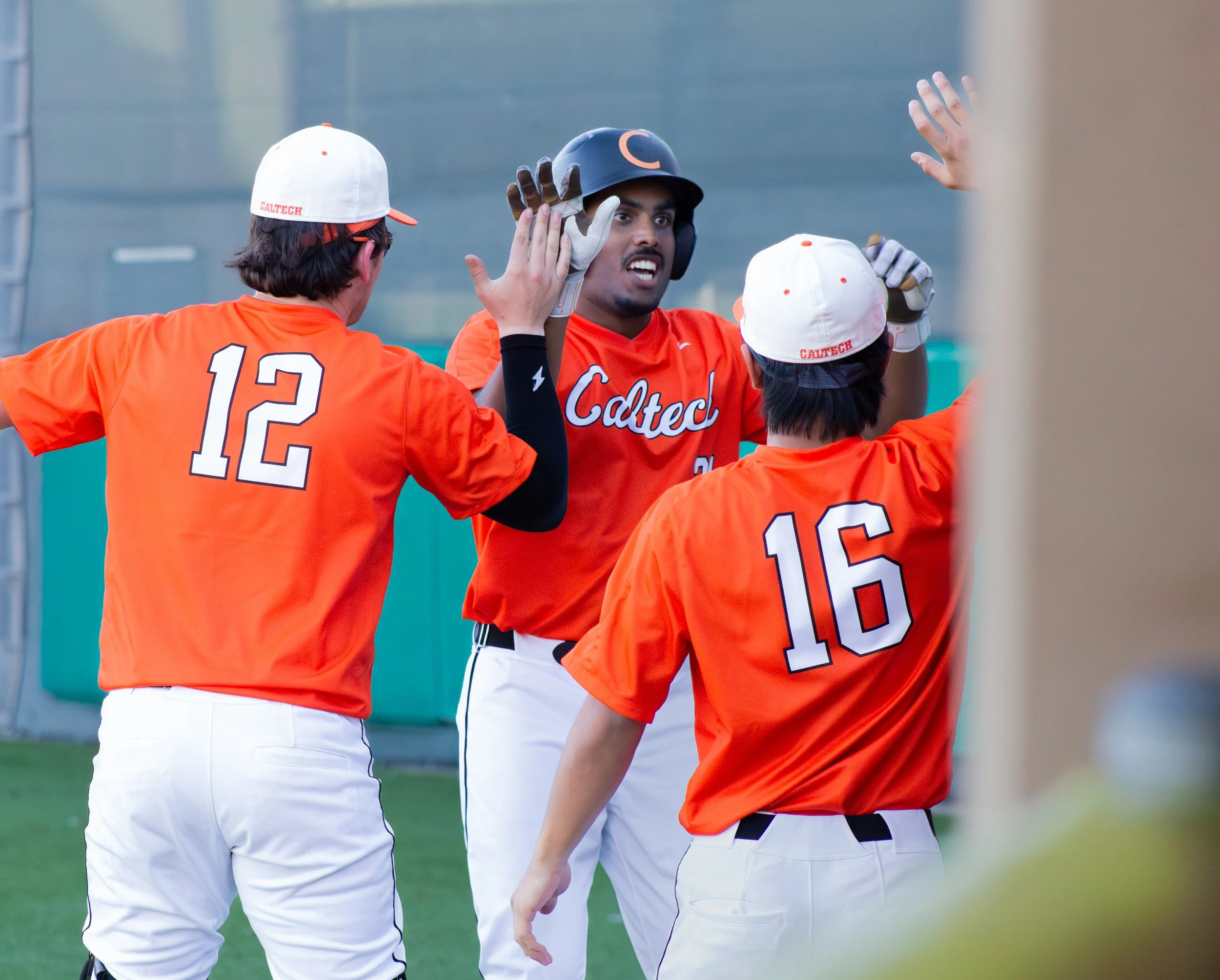 Baseball players in orange jerseys and white pants high-five each other on the field. One player wears a black helmet, two wear white caps with 'Caltech' written on the back, and they are in a sports stadium.
