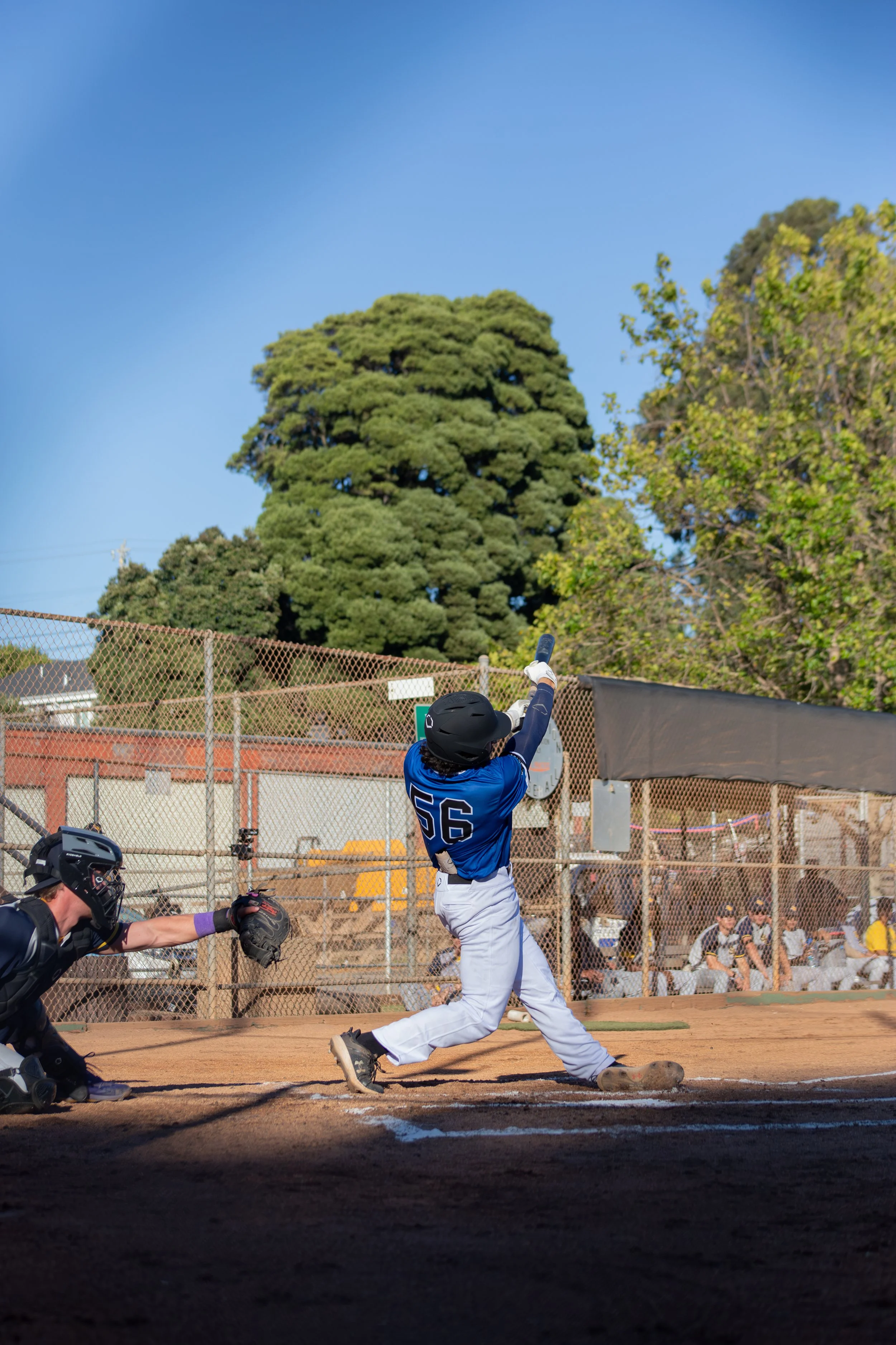A baseball player in a blue jersey and white pants is swinging at a pitch during a game. The batter's helmet and gloves are black, and he is wearing the number 56. A catcher in black gear is reaching out with his glove. The background shows a chain-l