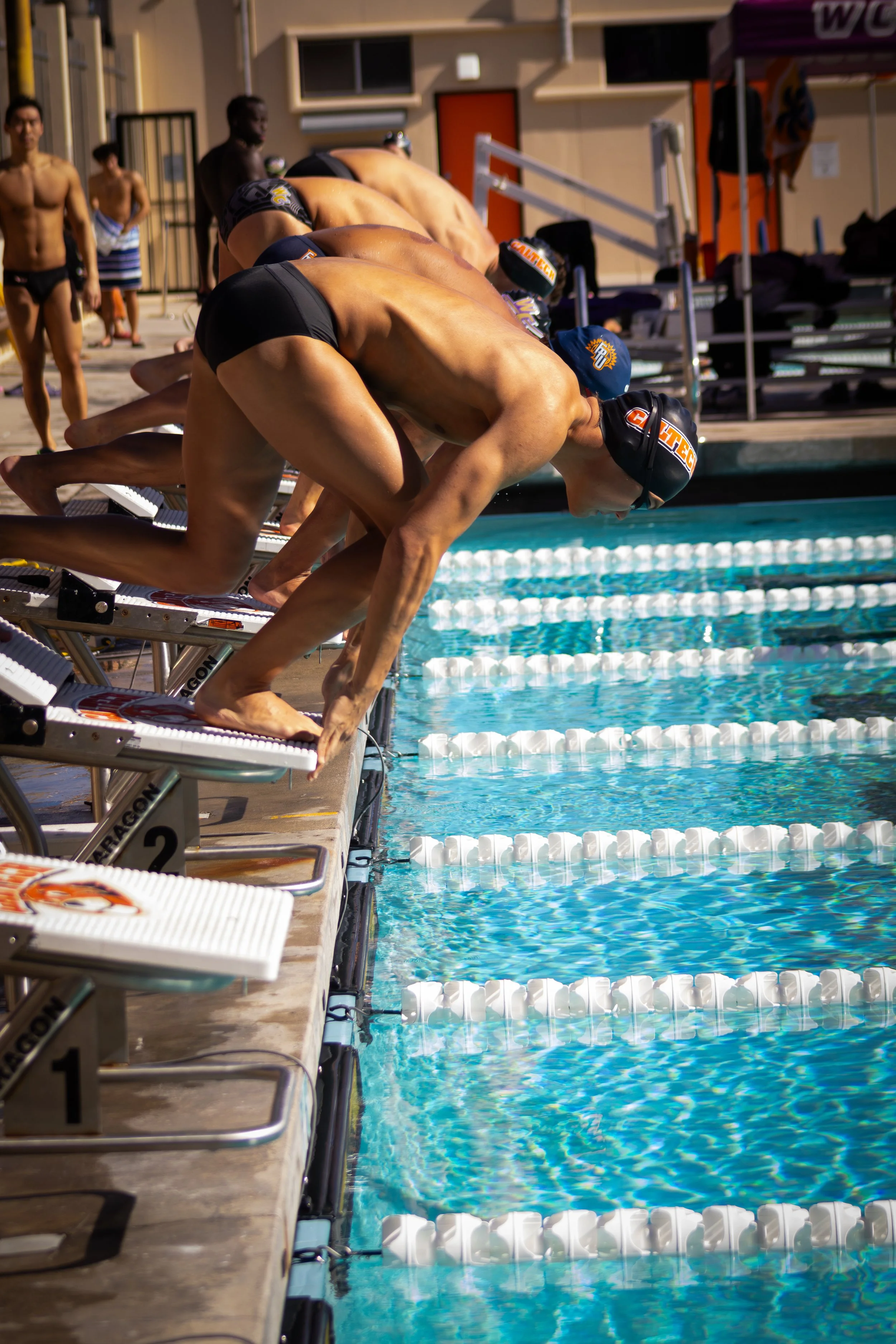 Swimmers crouched at starting blocks ready to race in an outdoor swimming pool competition.