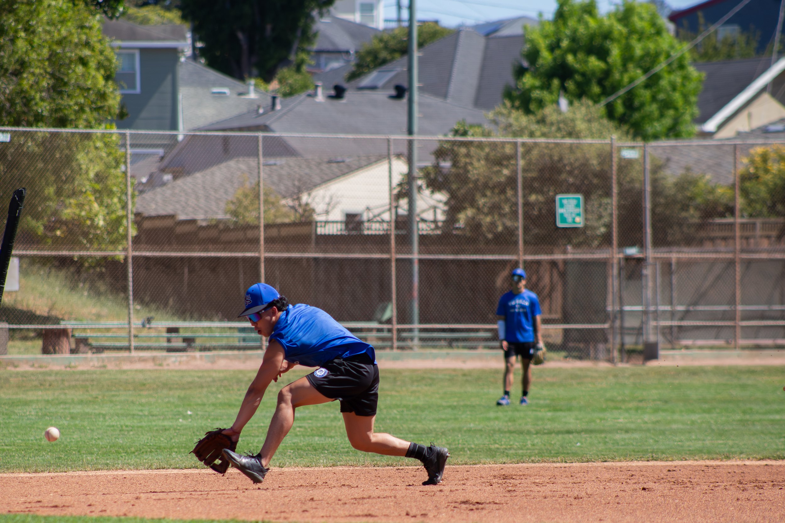 Young boy in a blue shirt and cap playing baseball on a field, bending down to catch a ball with a glove, other players stand in the background, enclosed by a chain-link fence, residential houses and trees are visible behind the fence.