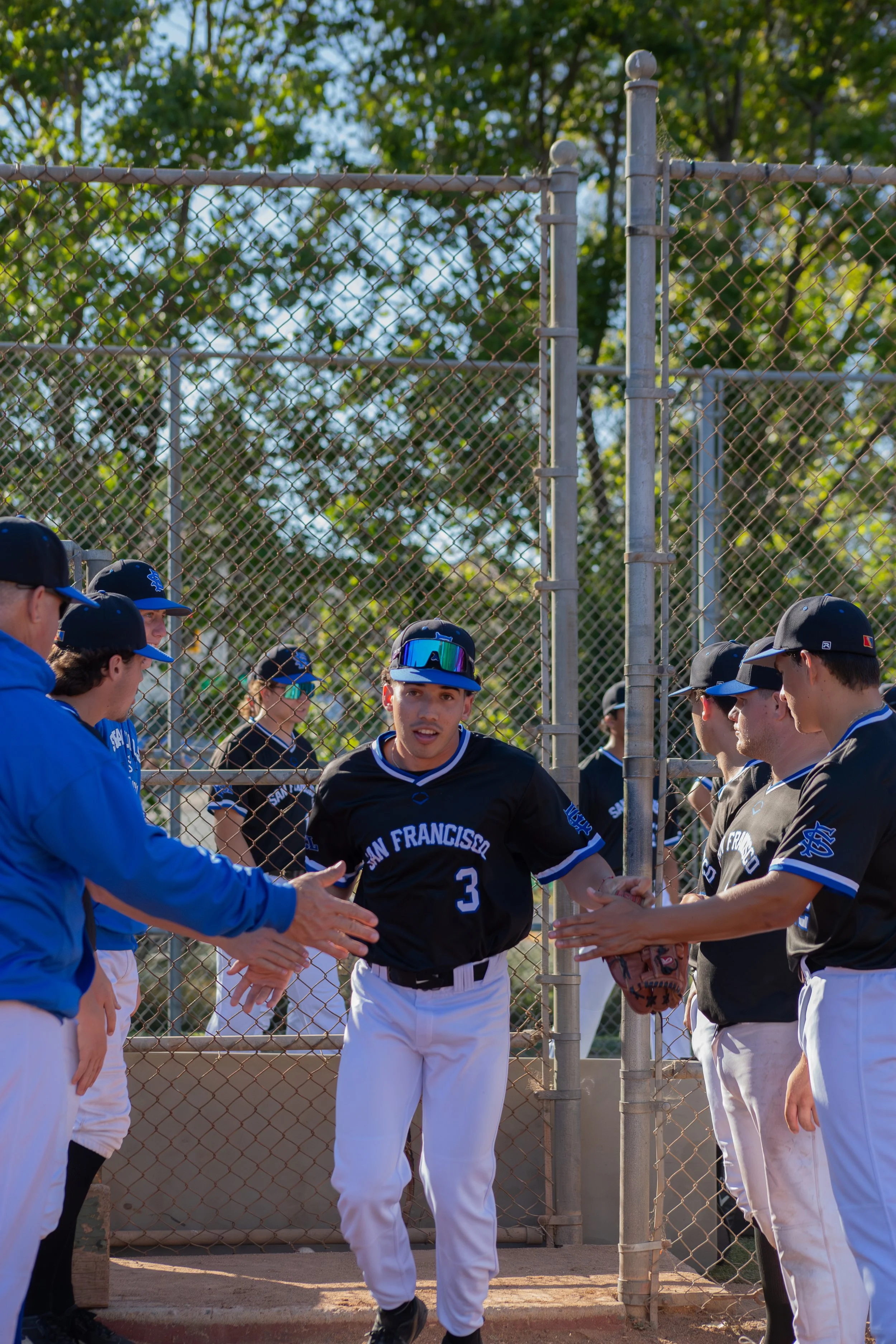 Baseball players standing on either side of a fence, shaking hands during a game or practice in a sunny outdoor setting.