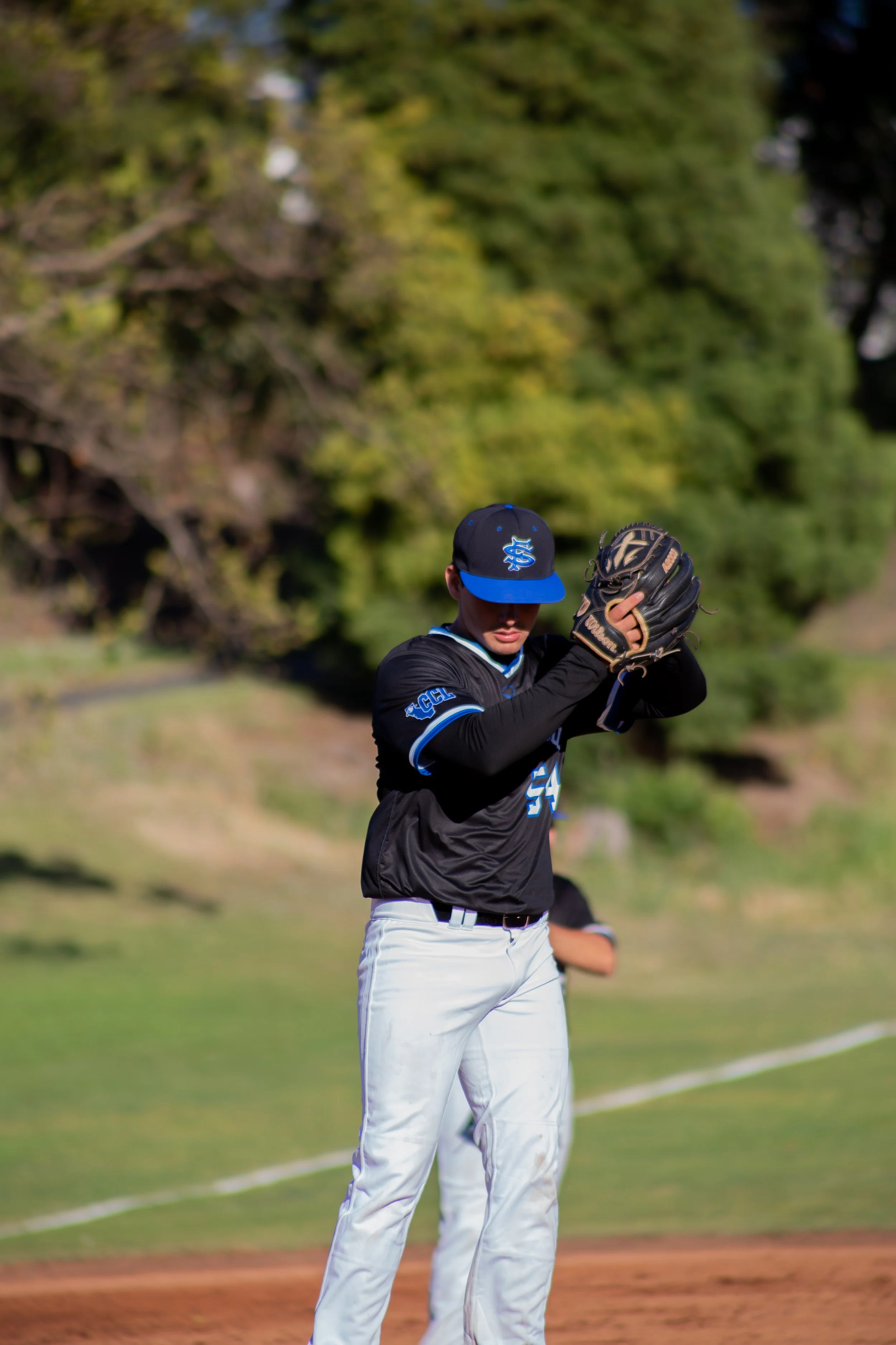 A young baseball player in a black jersey with blue and white accents, wearing a black cap with a blue logo, preparing to pitch on a grassy field with trees in the background.
