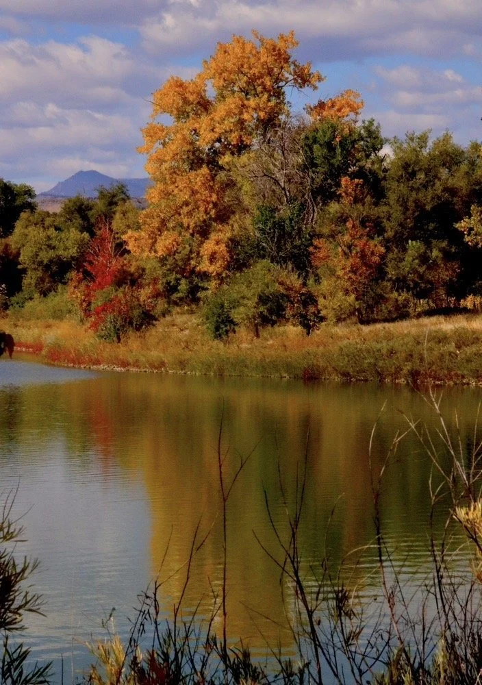 prospect park fall.jpg