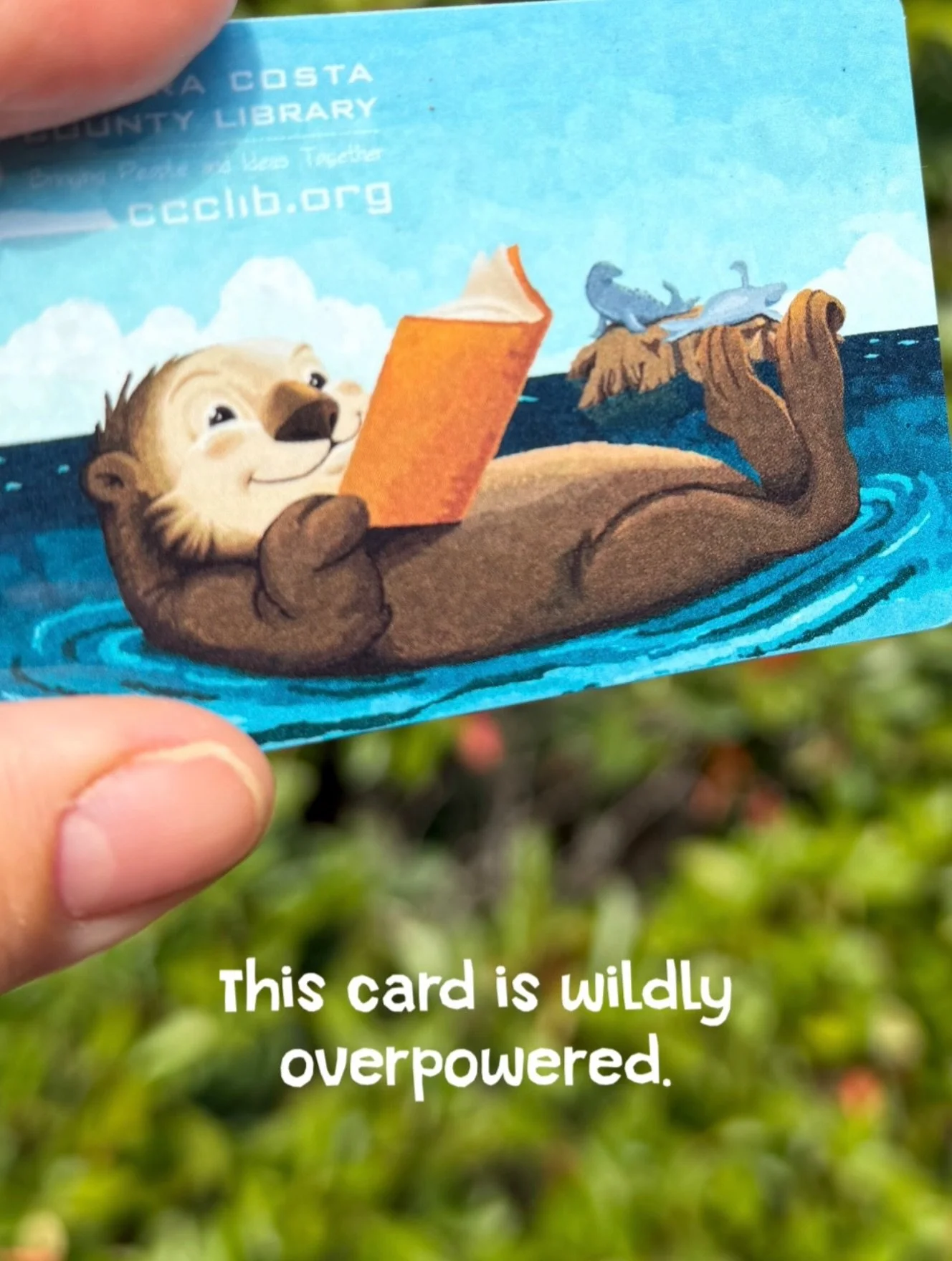 A library card gets you a whole lot more than books.

Depending on your local public library, that can mean access to ebooks, audiobooks, movies, classes, kids&rsquo; programming, research tools, museum, zoo, and park passes, career resources, langua