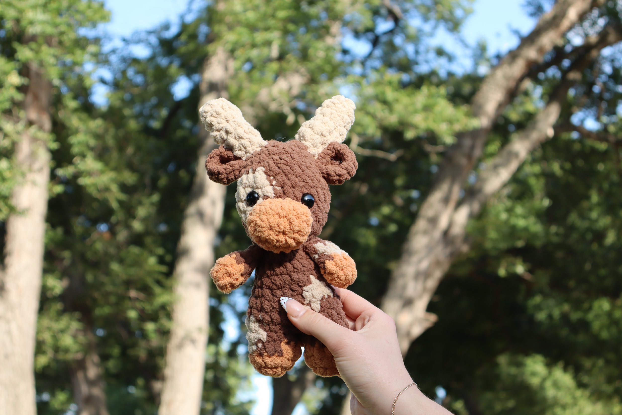 Maple the Moose