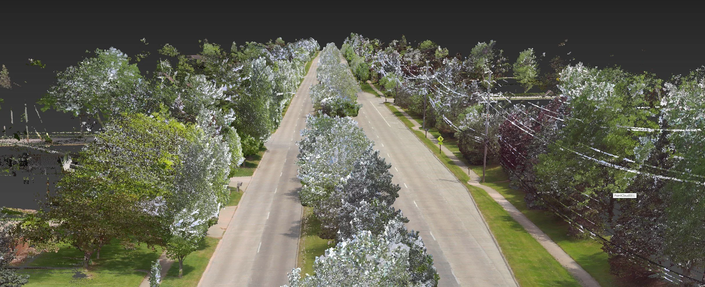 Raw LiDAR Data