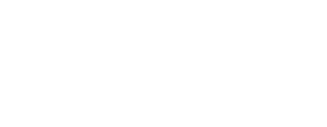 Lead Witch Studios