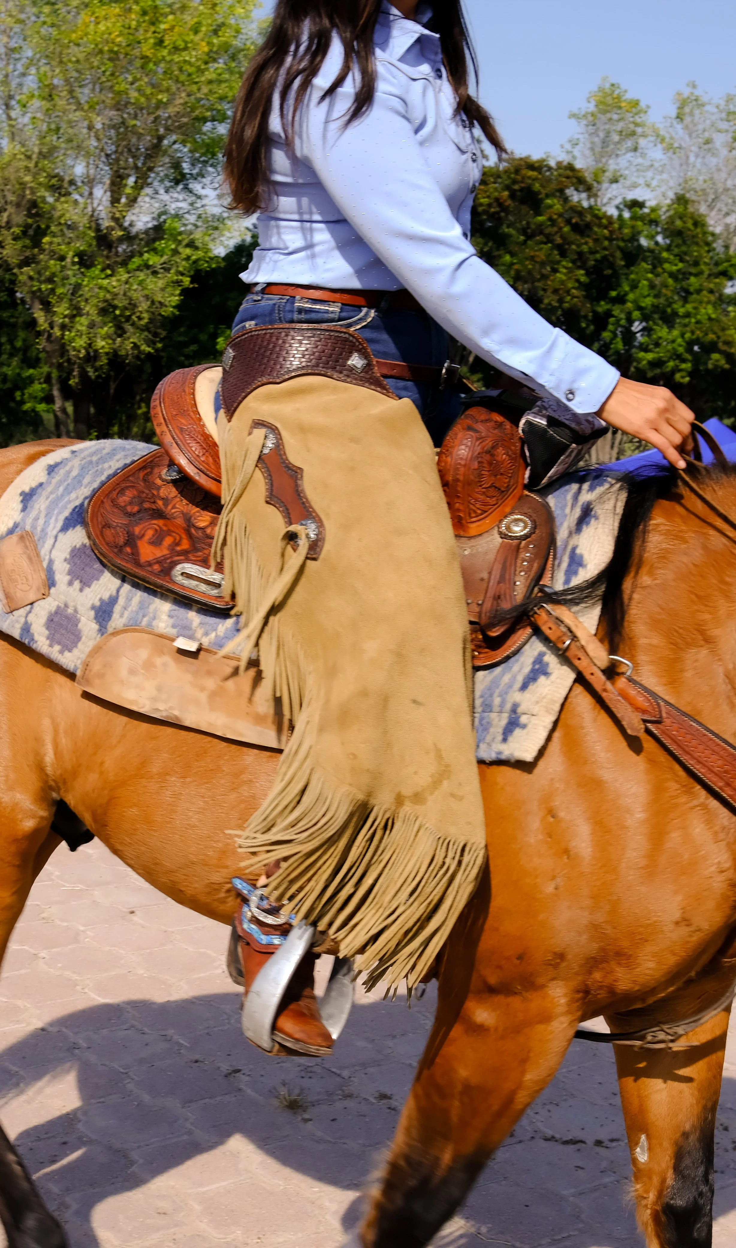 rodeo-sma-14.jpg