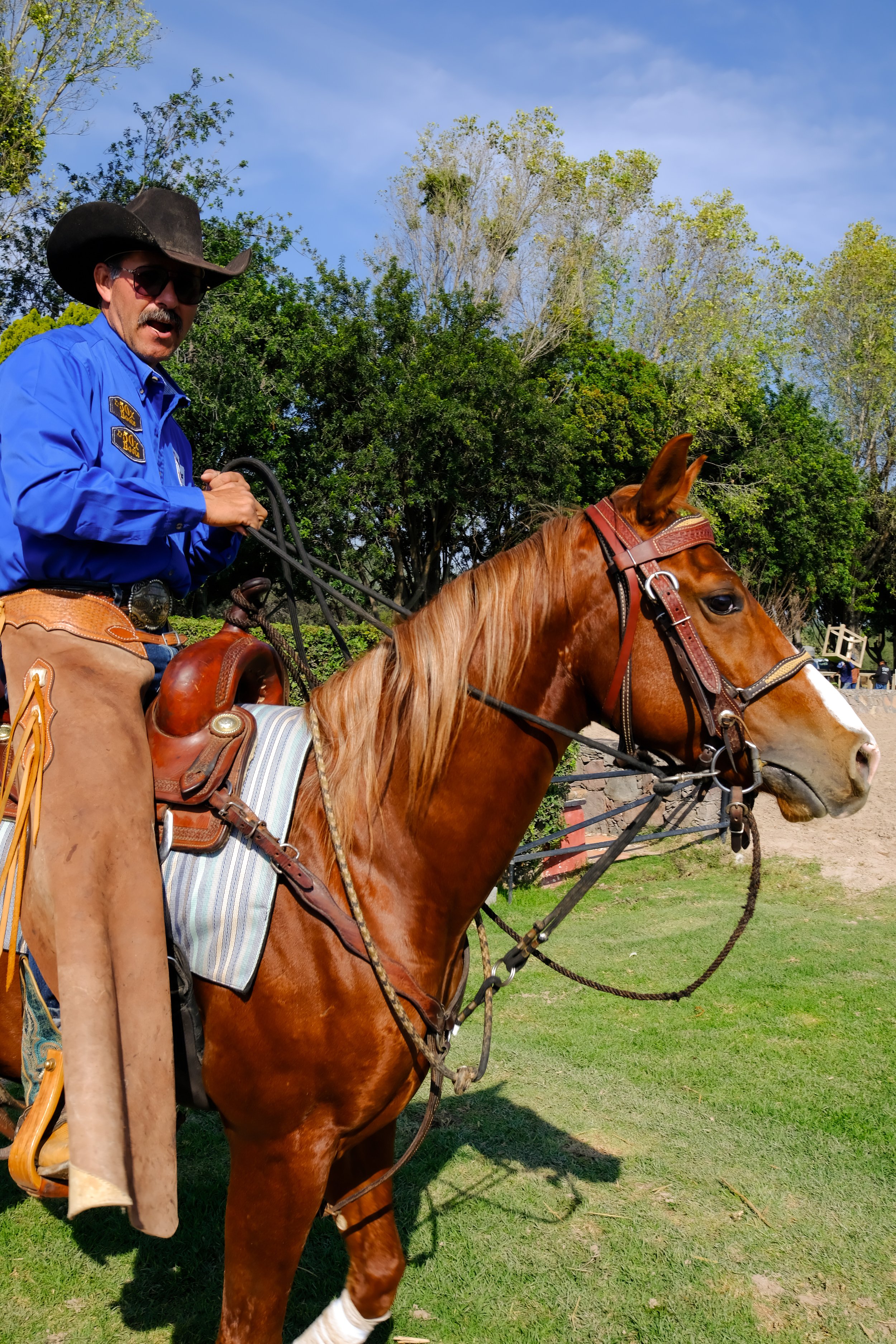 rodeo-sma-19.jpg