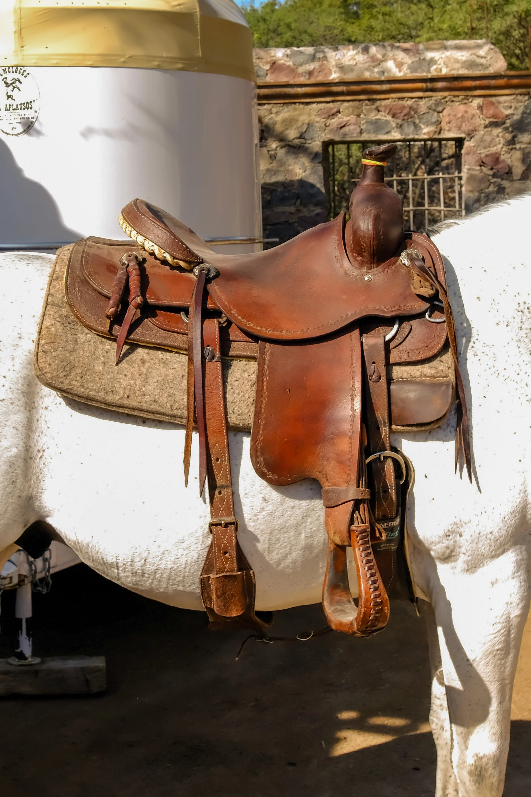 wyoming-4.jpg