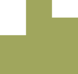 Olive green geometric icon