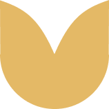 : "Yellow flower-shaped icon