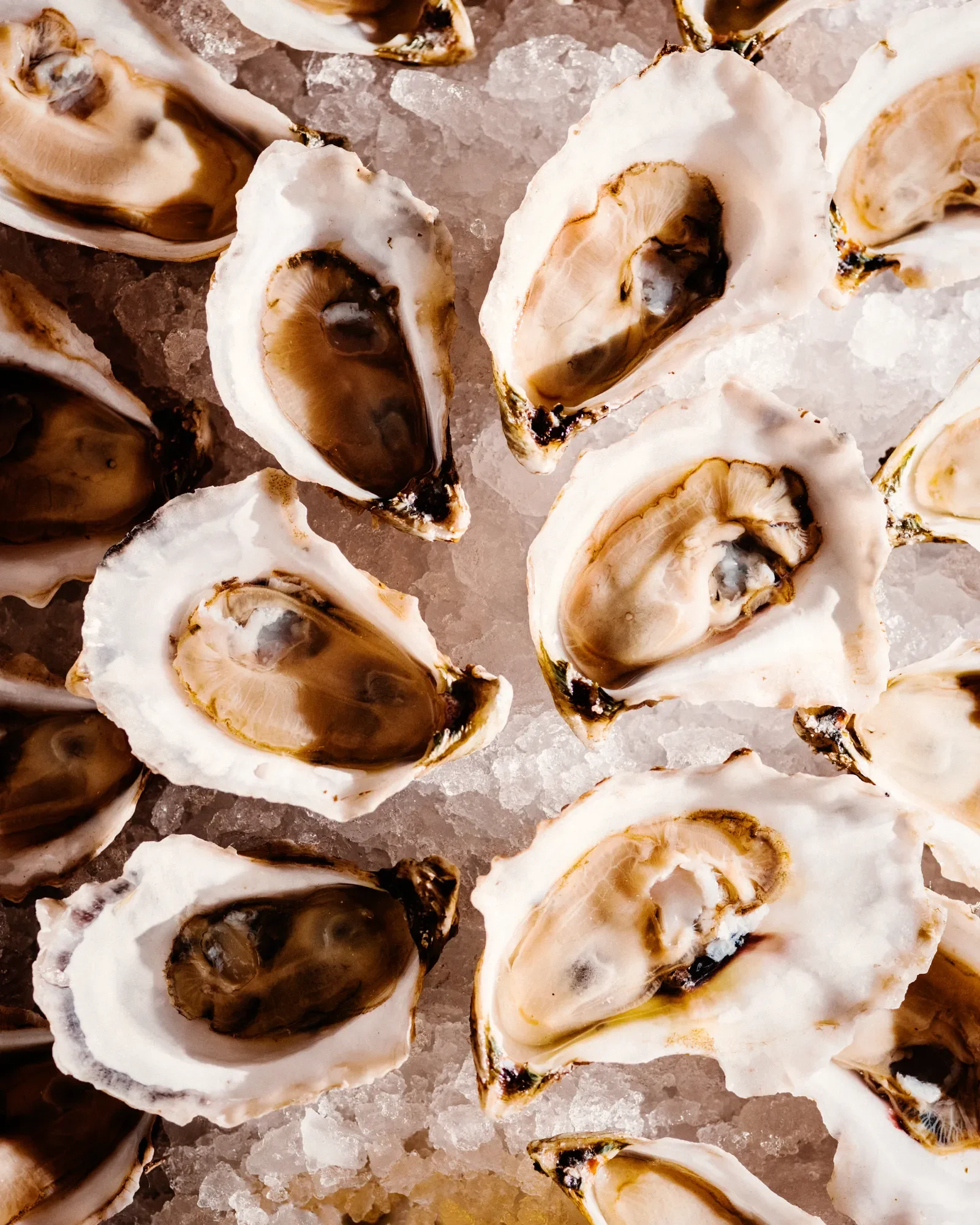 Best-new-restaurants-jake-stangel-16.webp