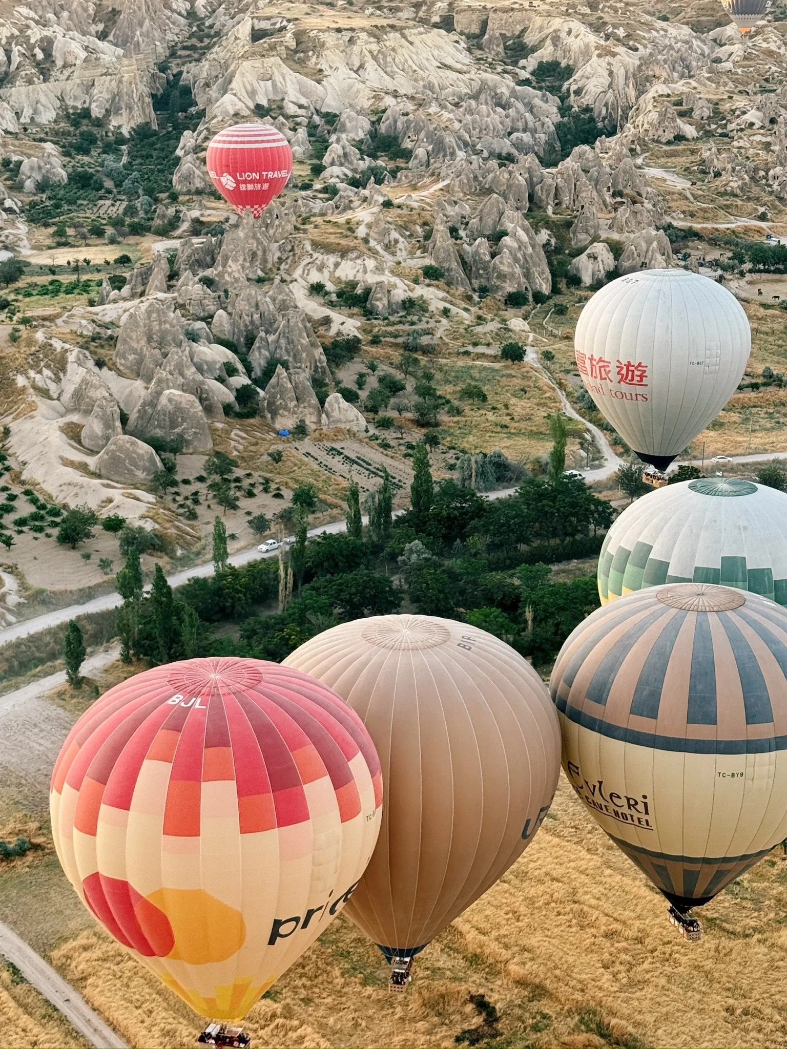 9B094DD0-CA11-41D6-B8B2-94836DD526CA_1_102_o.jpeg