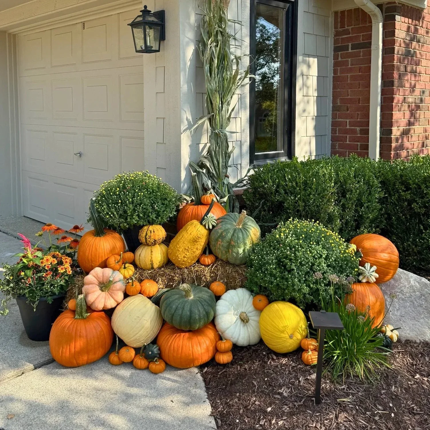 Fall display of pumpkins and gourds of various sizes and colors, with mums and other plants, situated outside a house near the garage and front window.
